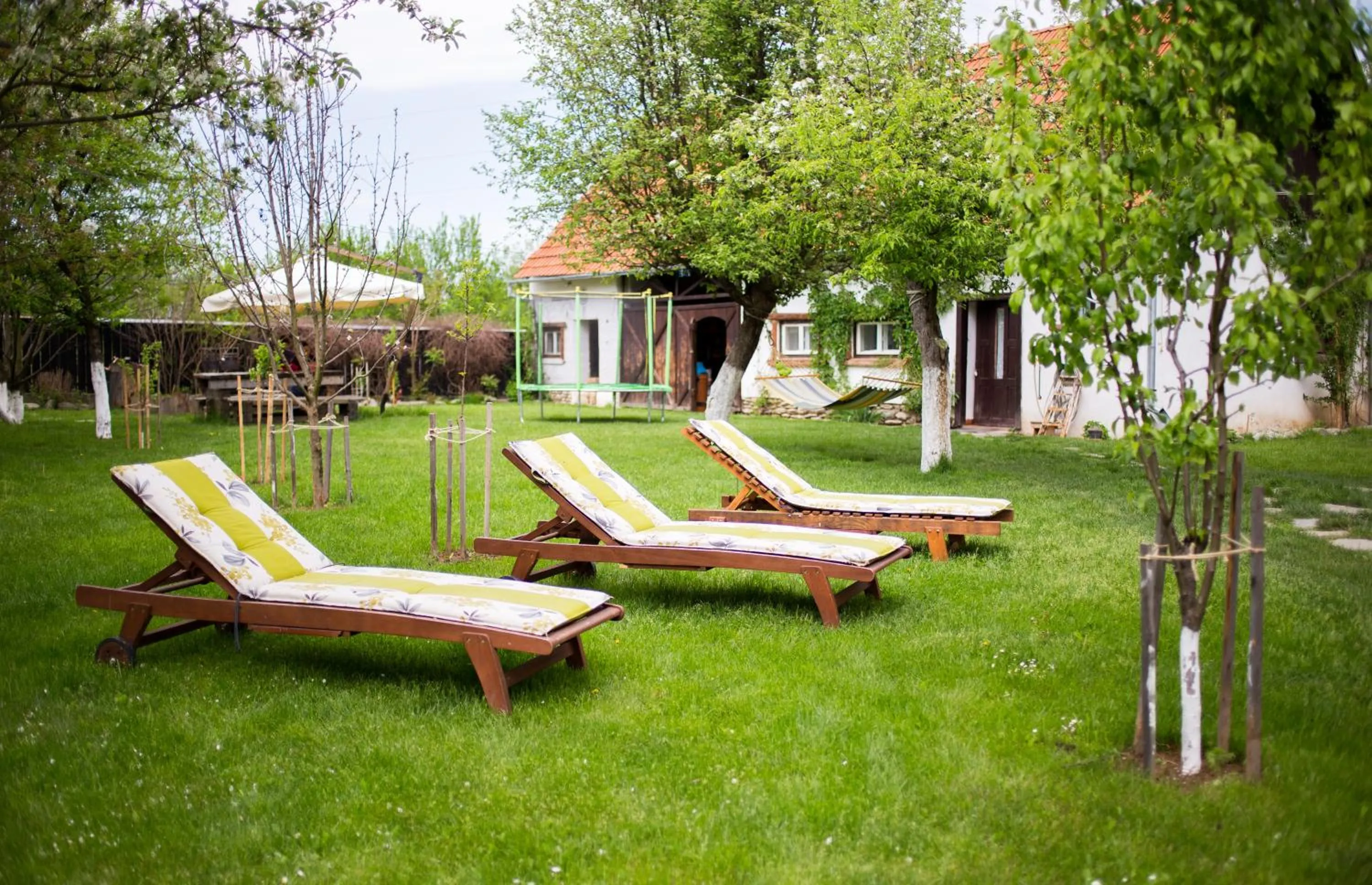 Garden in Casa Mosului - Transfăgărășan Bed & Breakfast