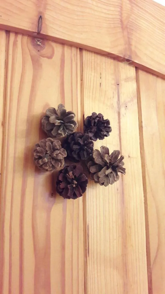 Decorative detail in Casa Mosului - Transfăgărășan Bed & Breakfast