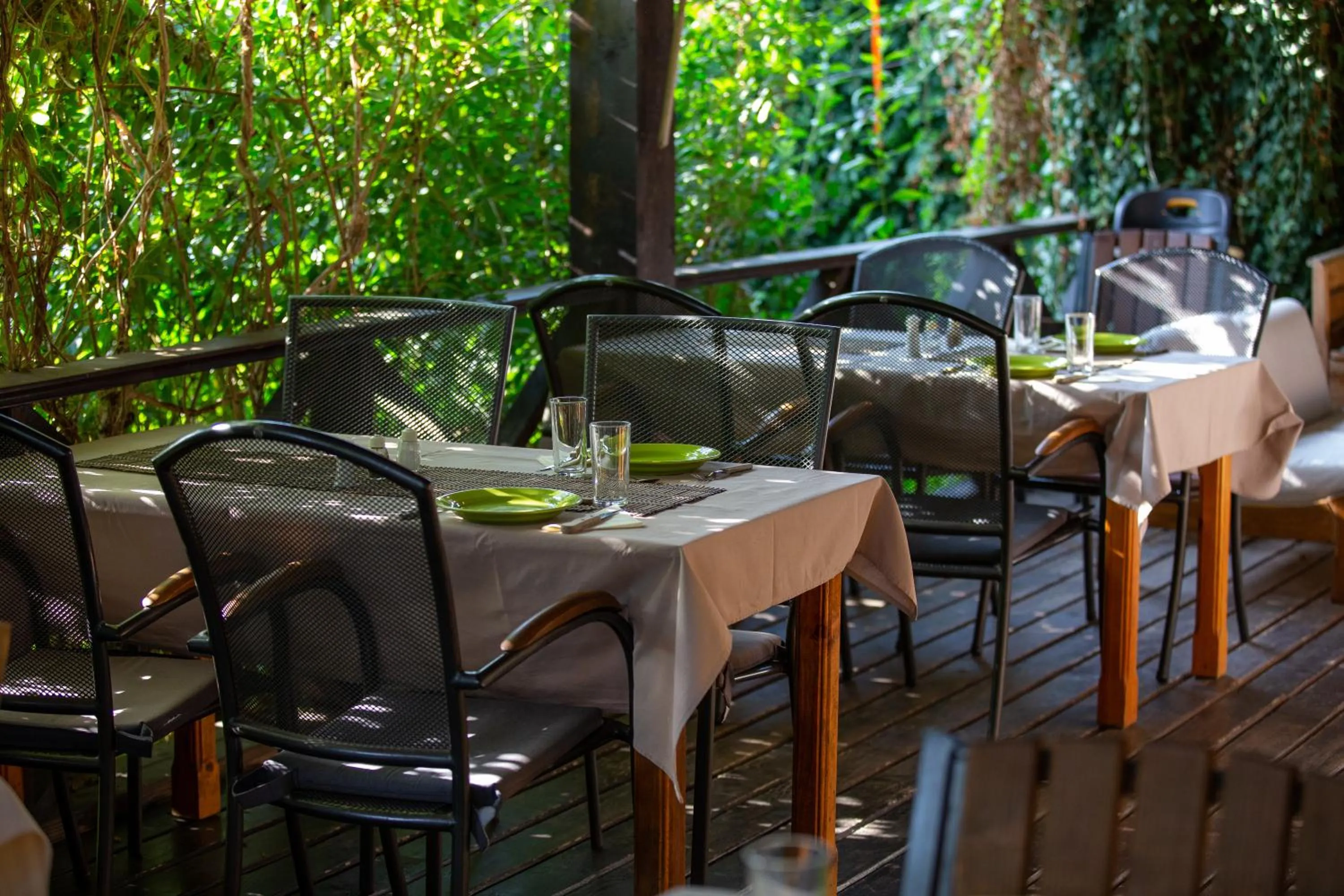 Garden in Casa Mosului - Transfăgărășan Bed & Breakfast