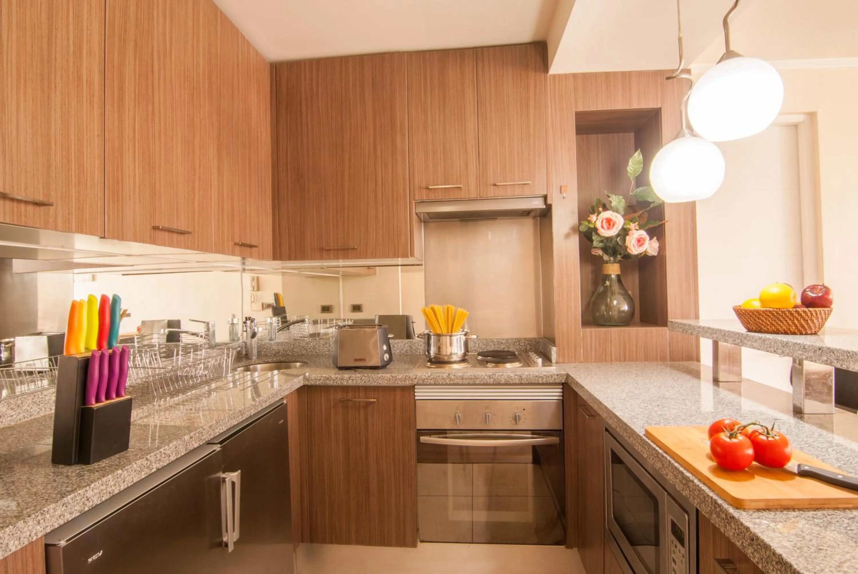 Kitchen or kitchenette in Views Cordillera