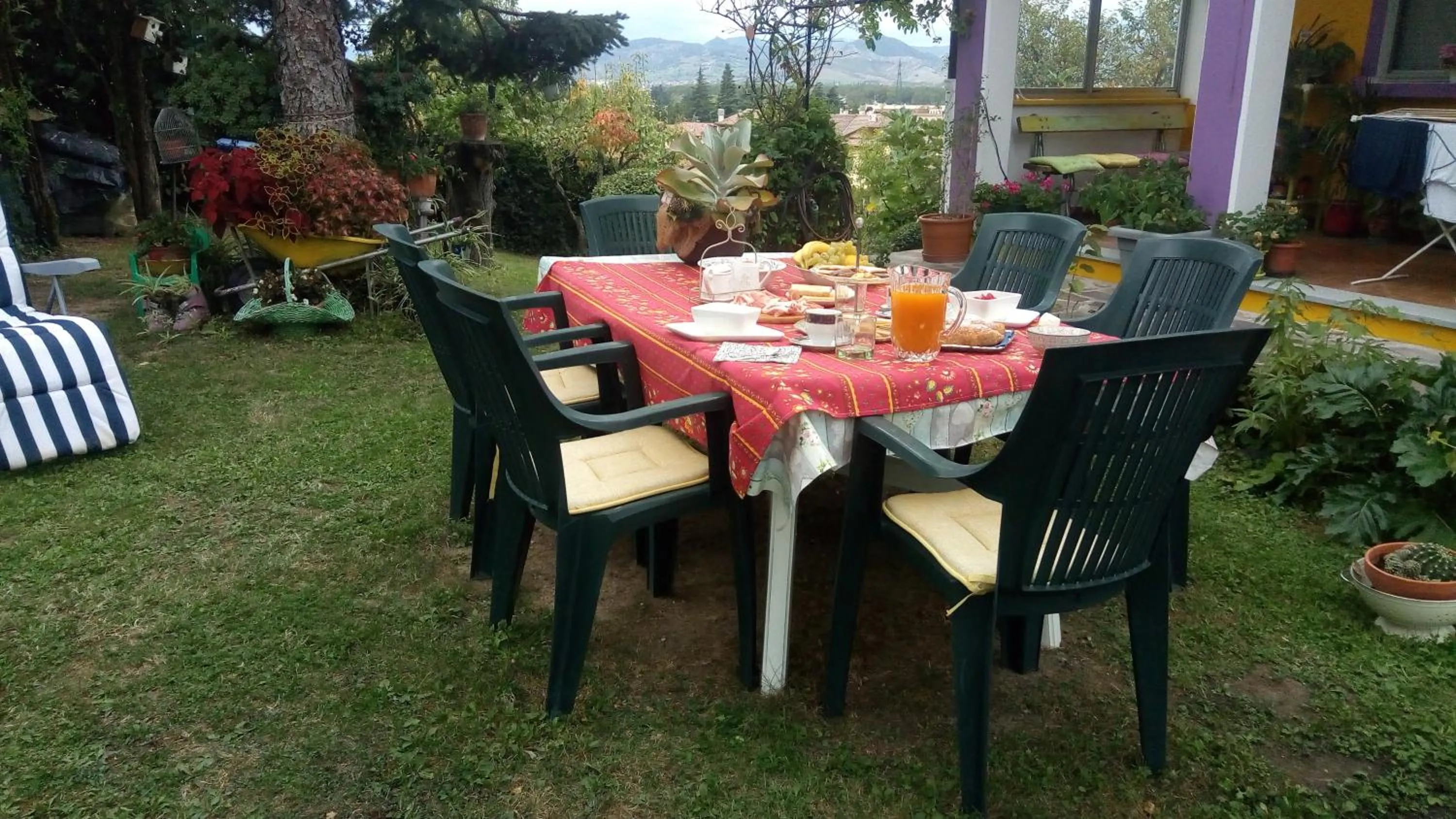 Garden in Nel giardino di Oz