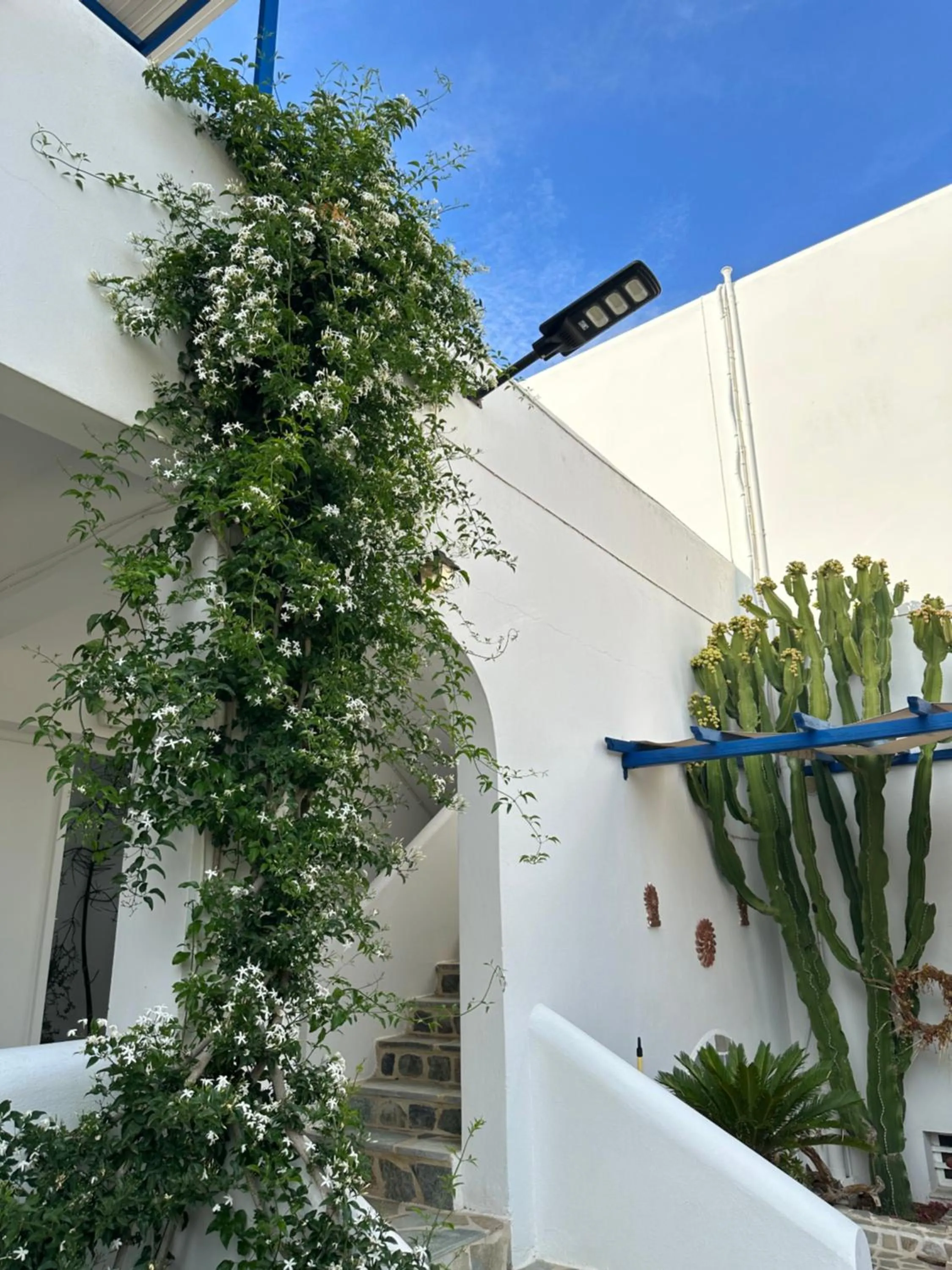 Property building in Antonia