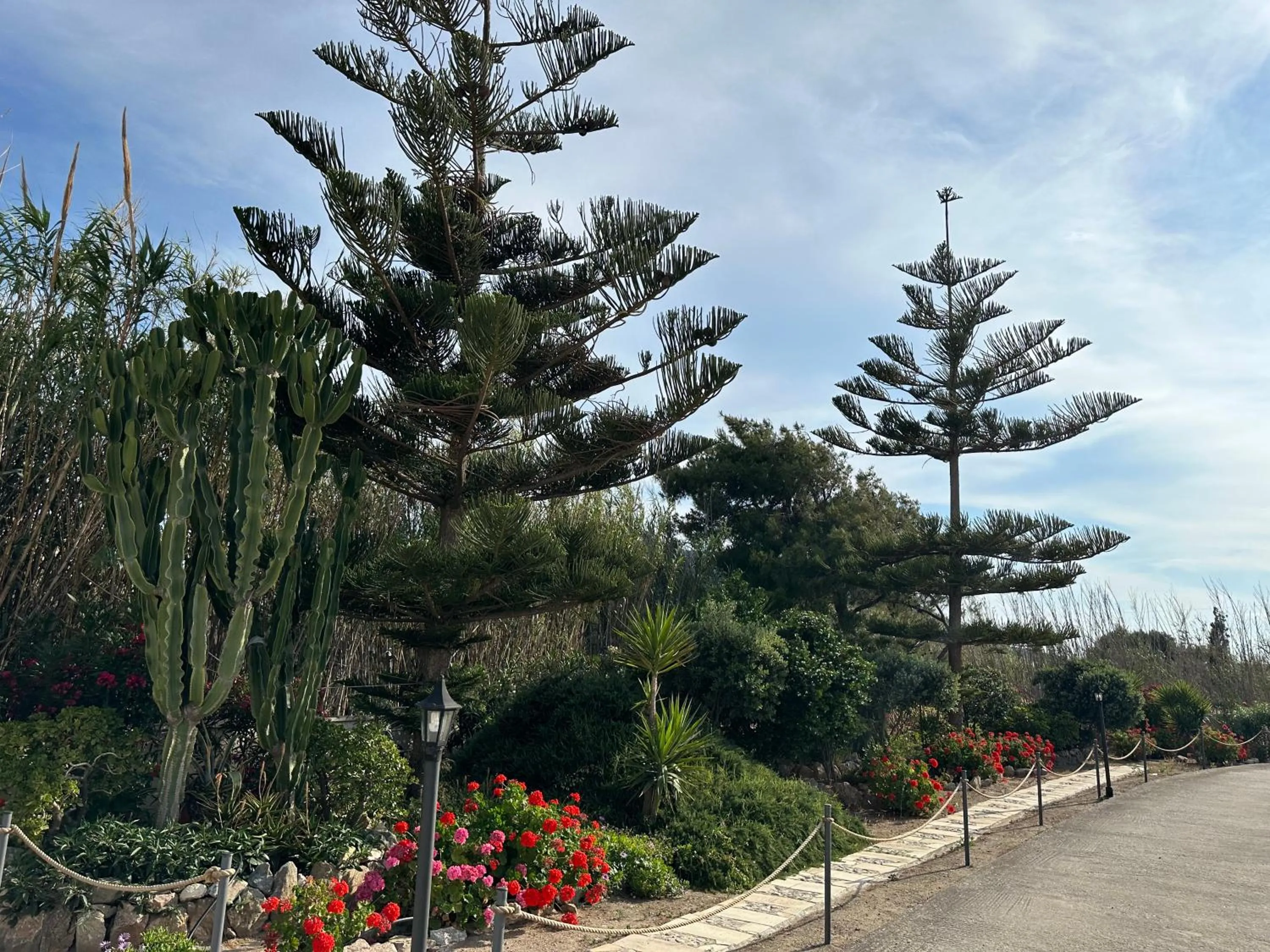 Garden in Antonia
