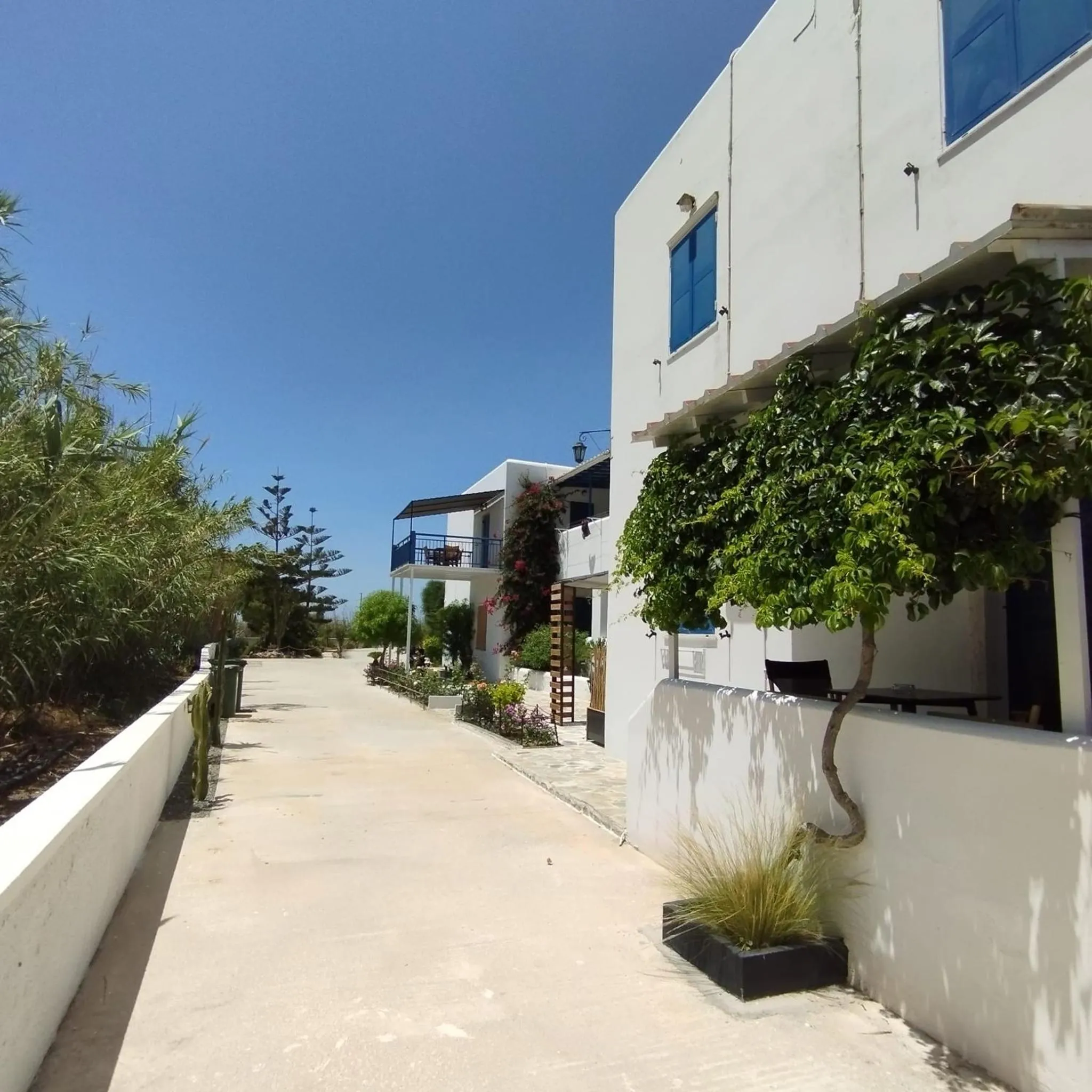 Property building in Antonia