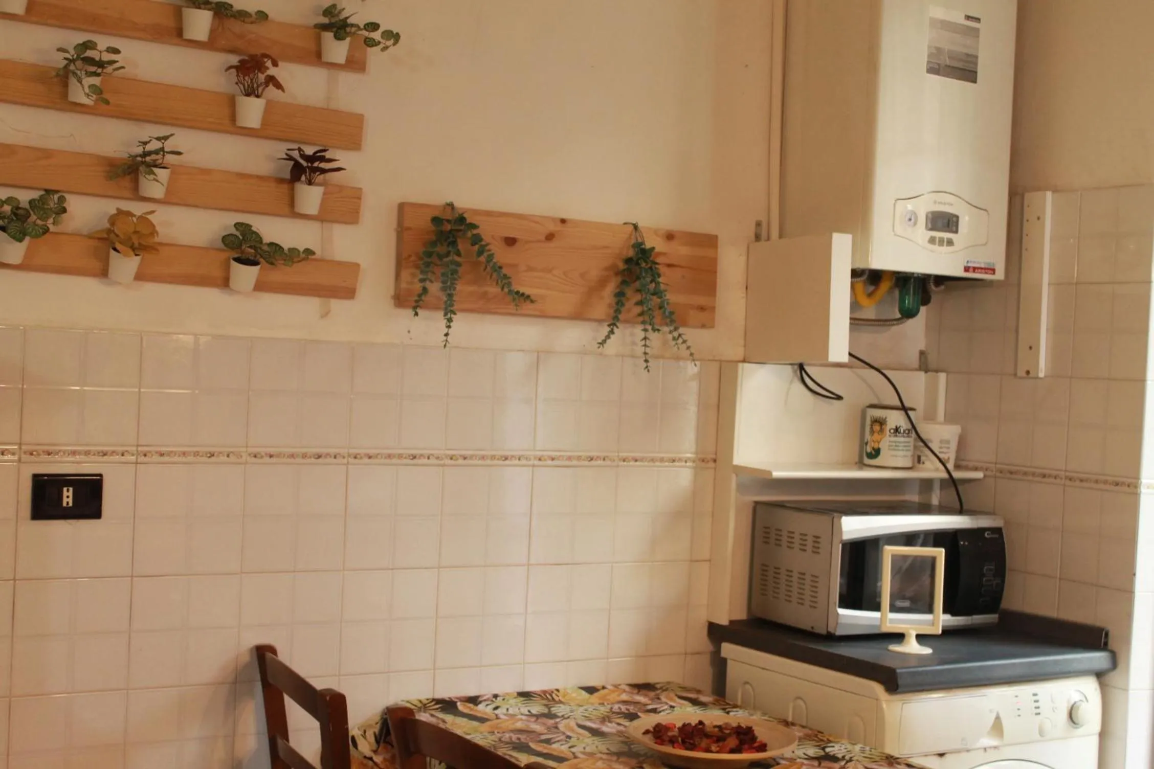 pet friendly in Daffodil in Roma San Pietro