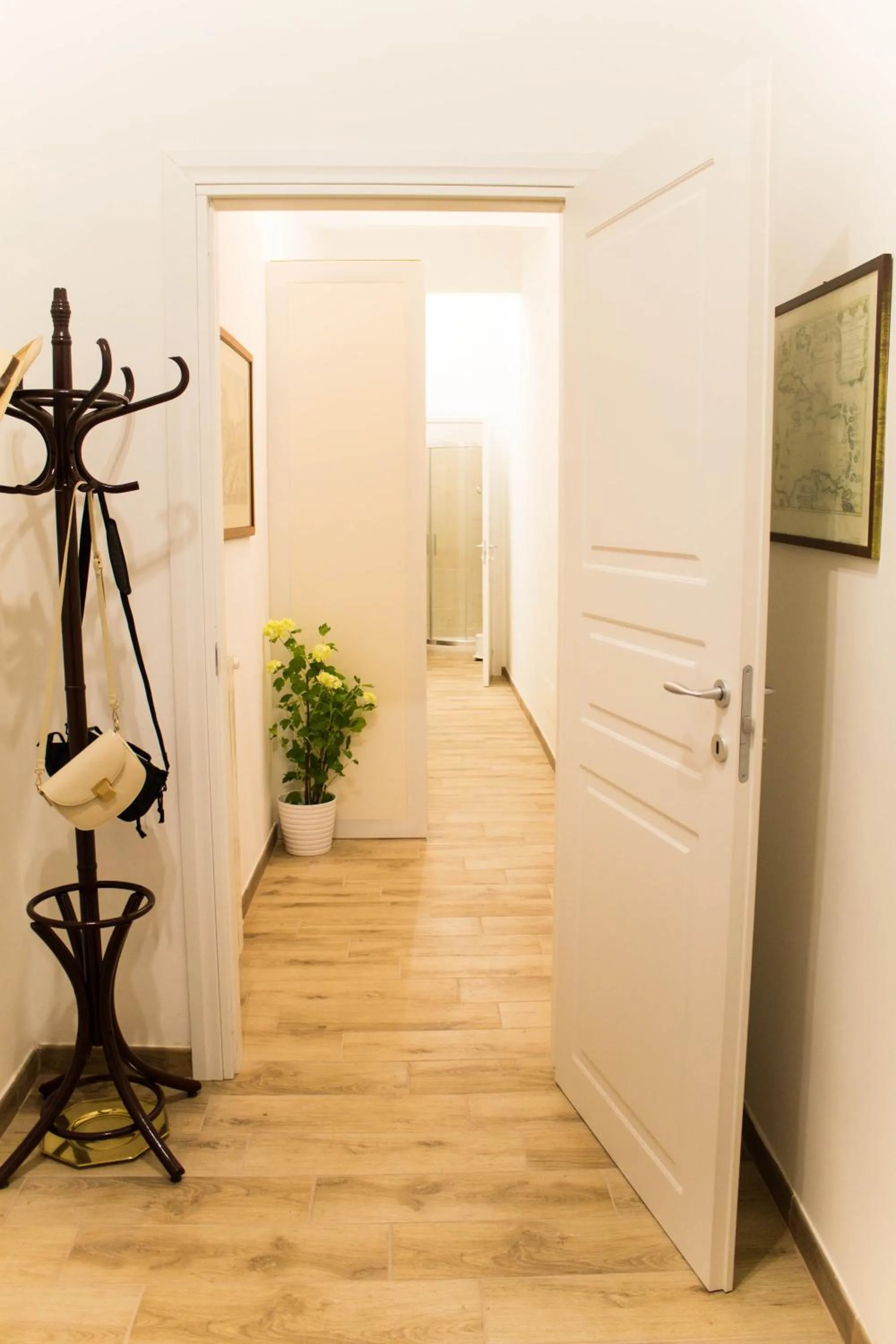 Decorative detail in Daffodil in Roma San Pietro