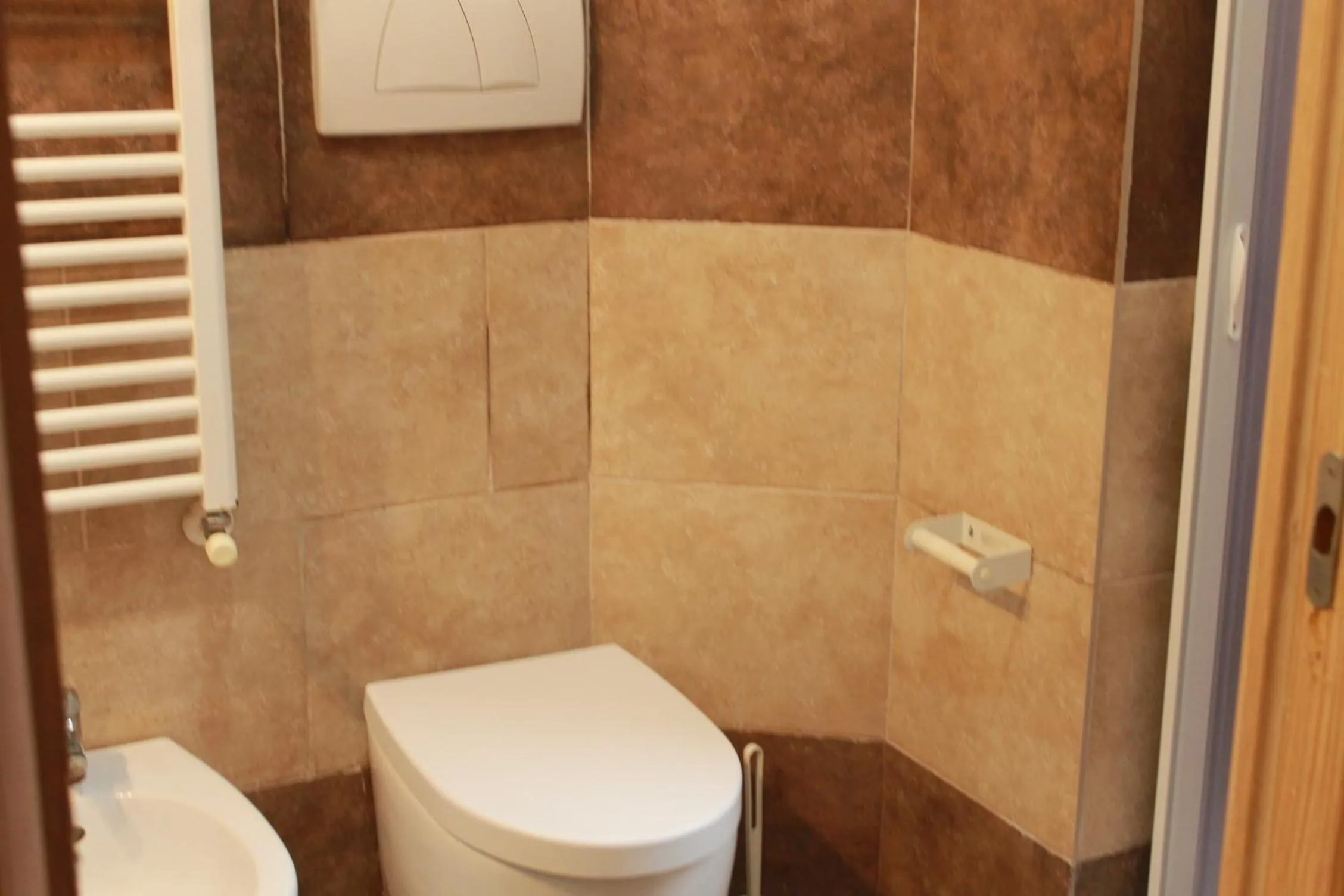 Toilet in Daffodil in Roma San Pietro