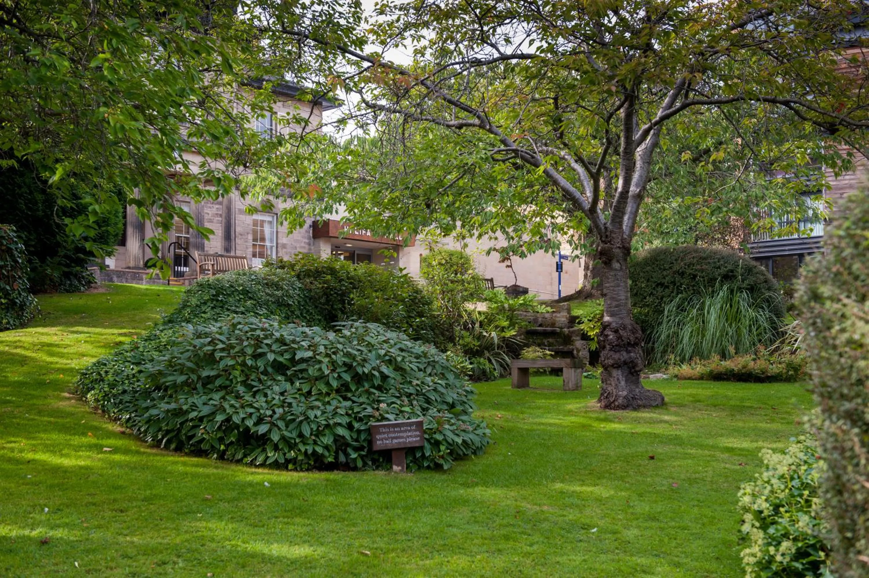 Garden in Halifax Hall
