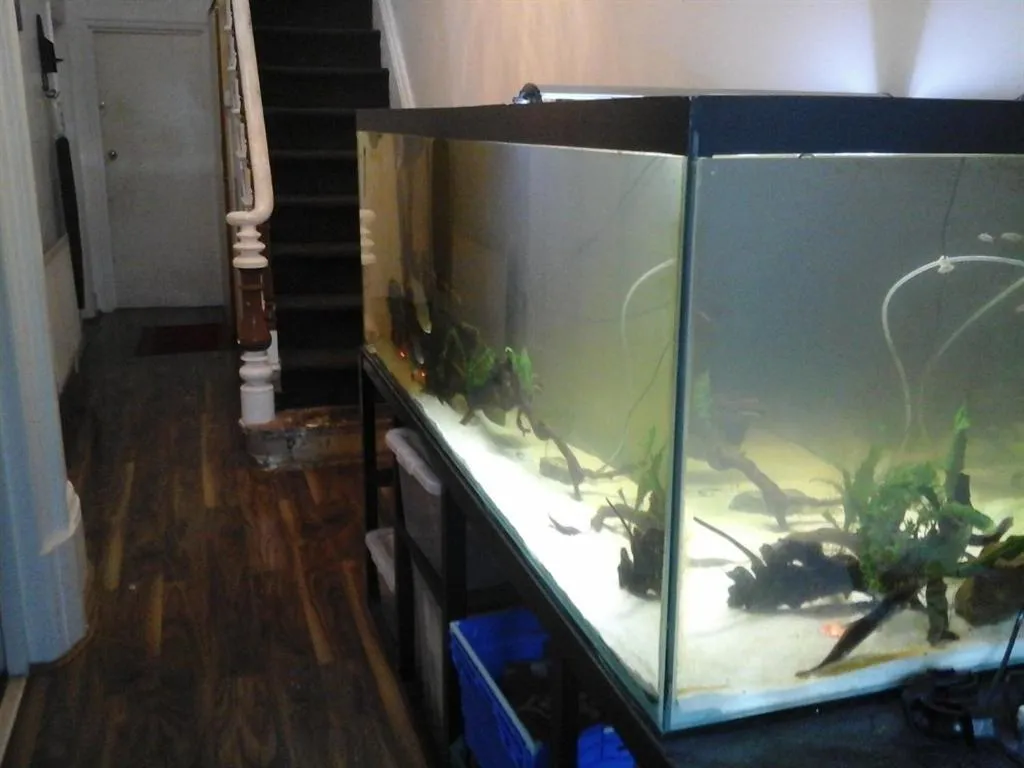 Lobby or reception in Heavenly Nights Guest House