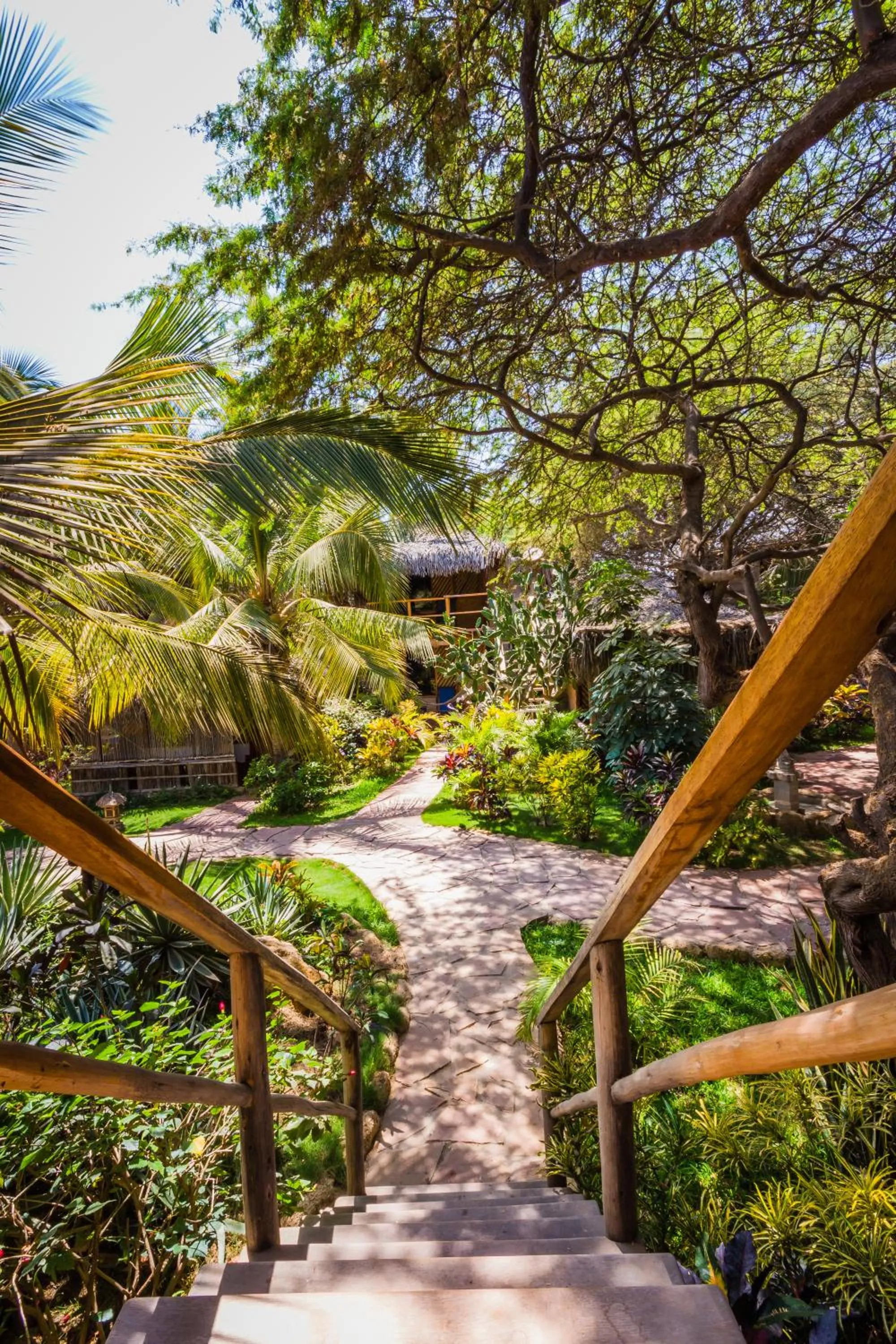 Garden view in Kimbas Bungalows Mancora