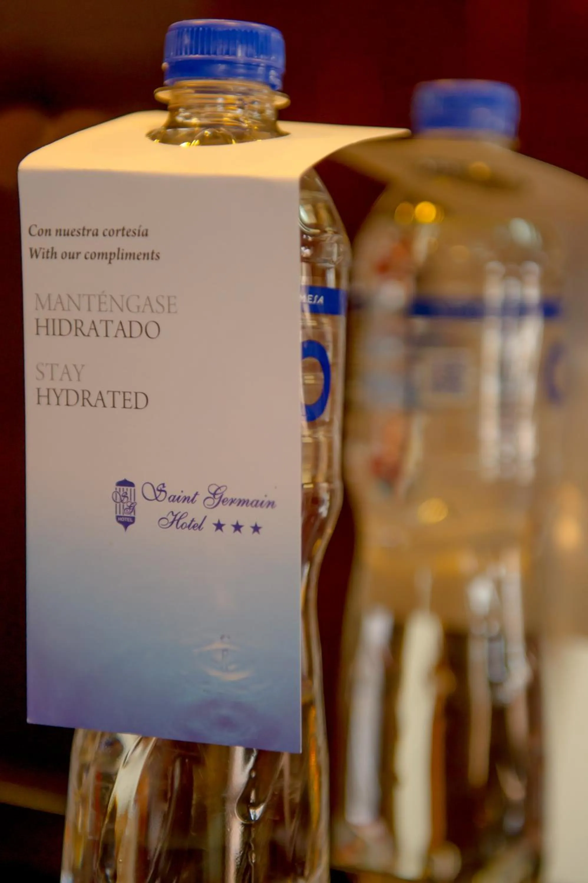 Decorative detail in Saint Germain Hotel