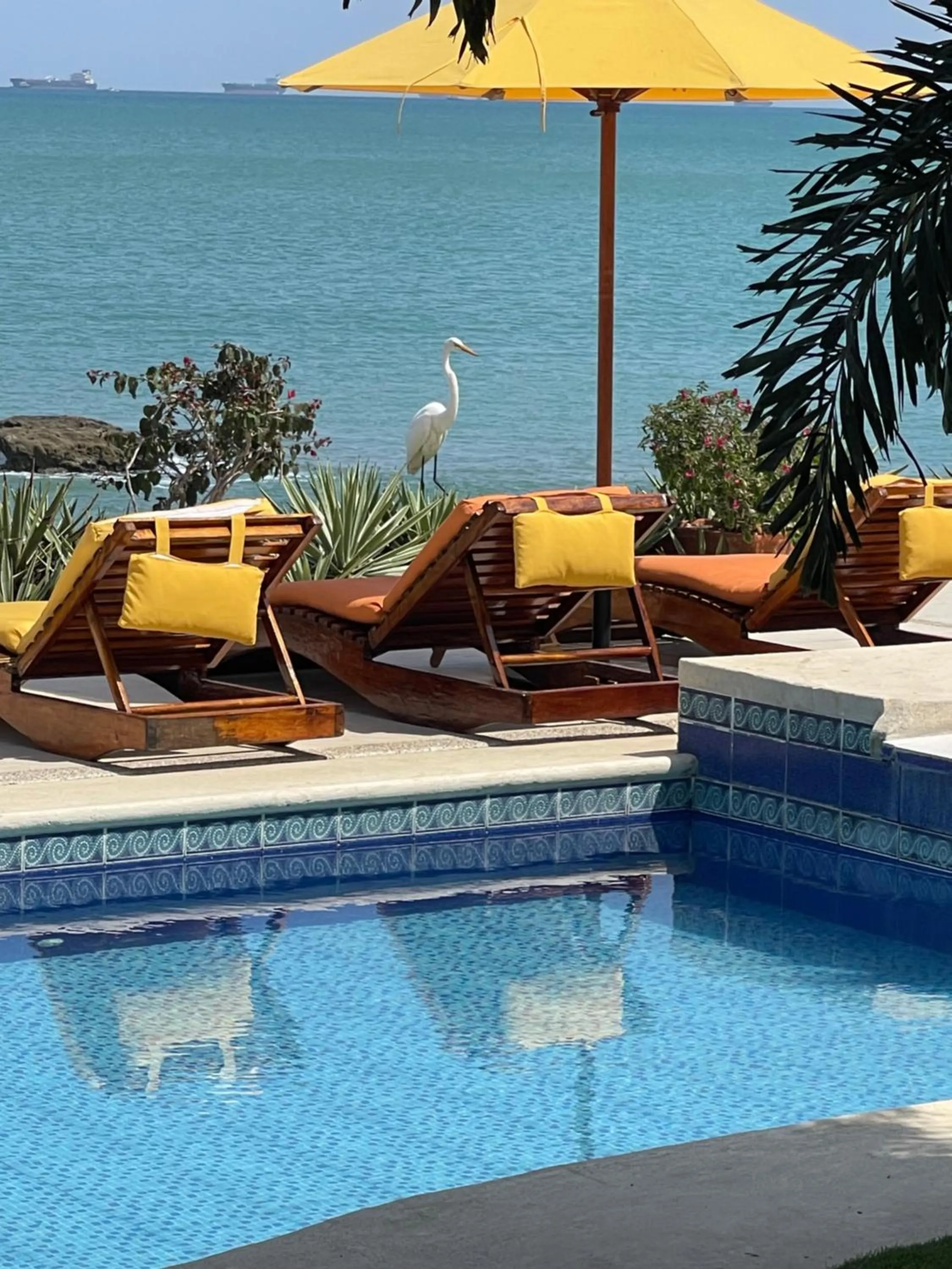 Garden view in Hotel Boutique Playa Canela Ecuador