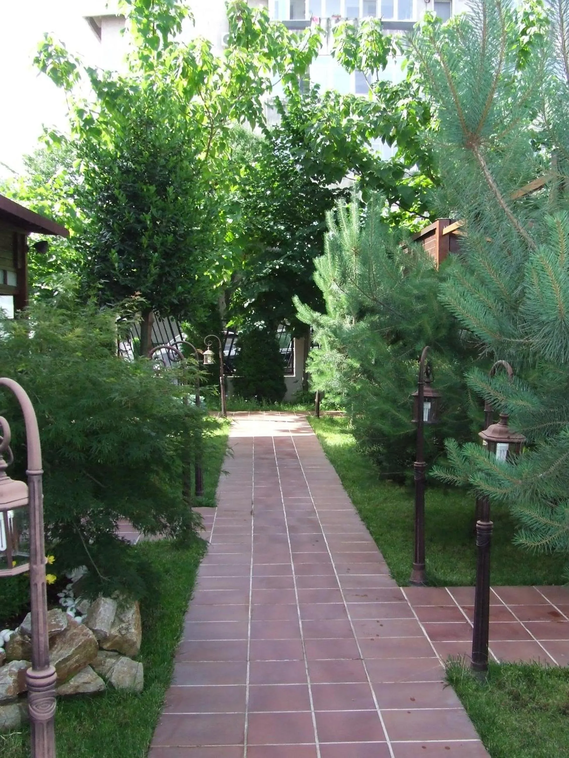 Restaurant/places to eat in Hotel Senator