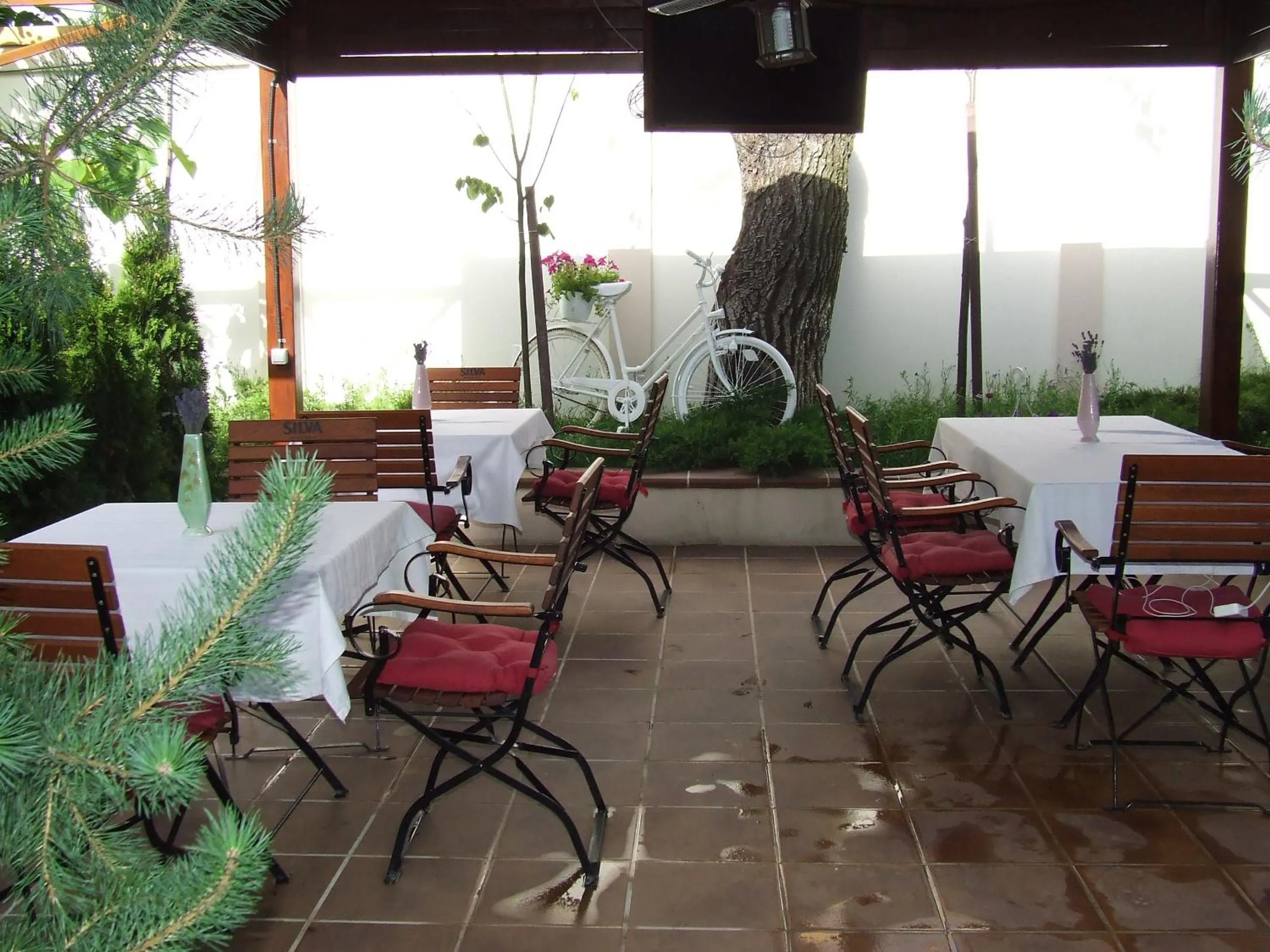 Restaurant/places to eat in Hotel Senator