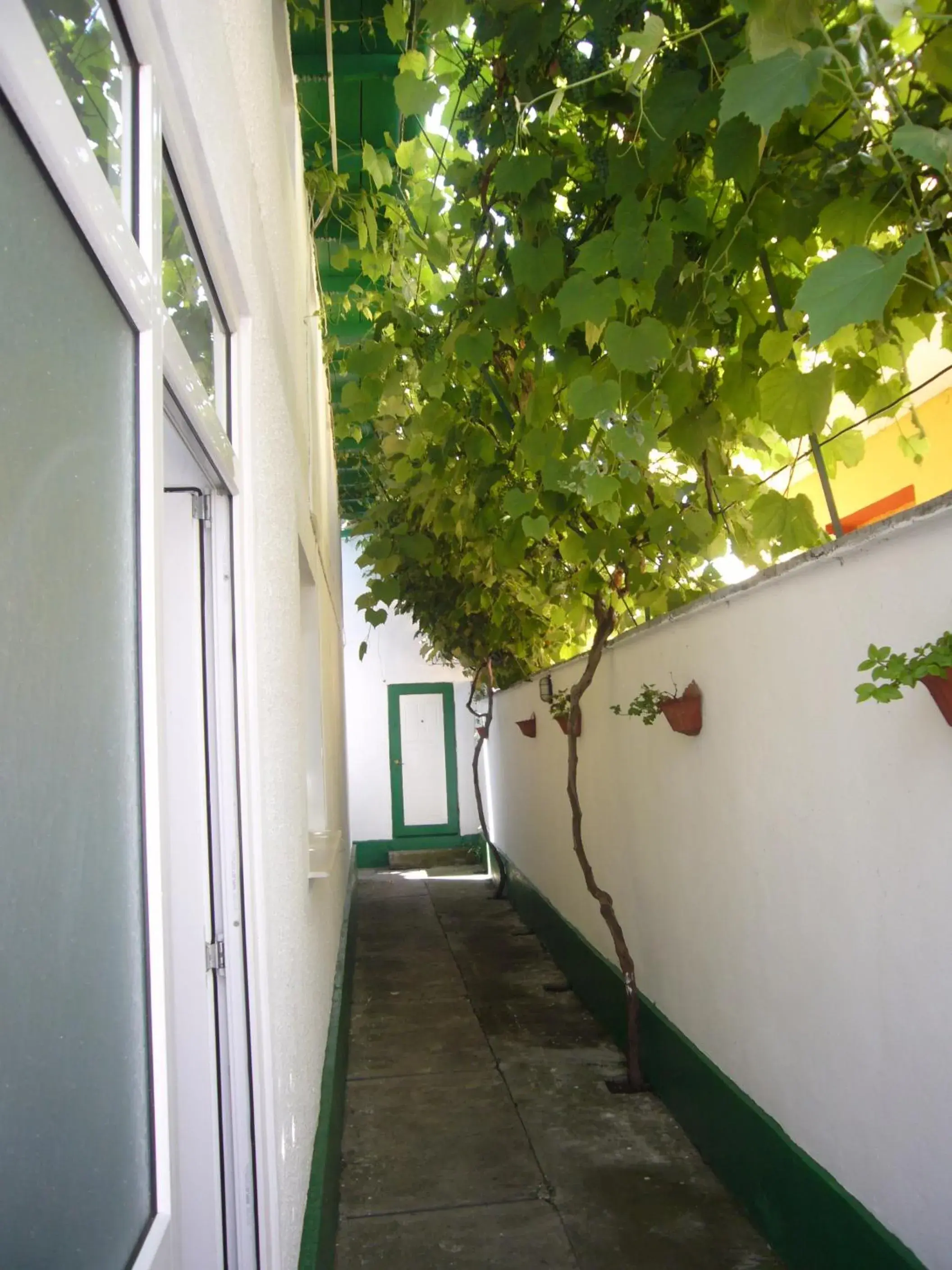 Camere De Inchiriat "Pinciuc Gheorghe" Camere De Inchiriat "Pinciuc Gheorghe"