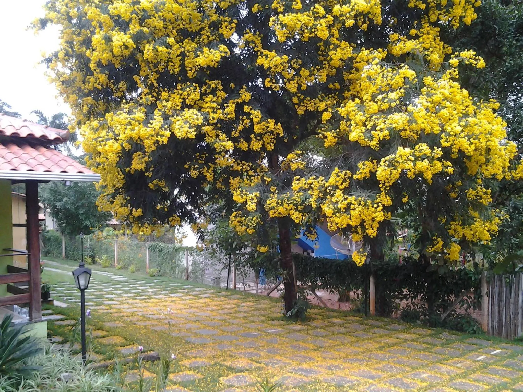Garden view in Pousada Licuri