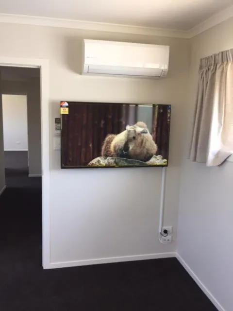 TV and multimedia in Brooklyn Motor Lodge