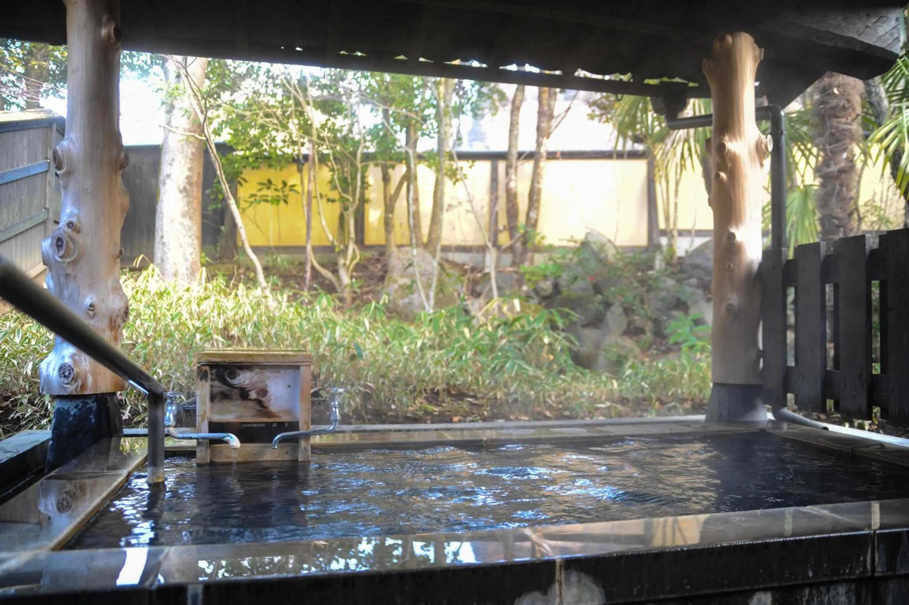 Hot Spring Bath in Yamashinobu