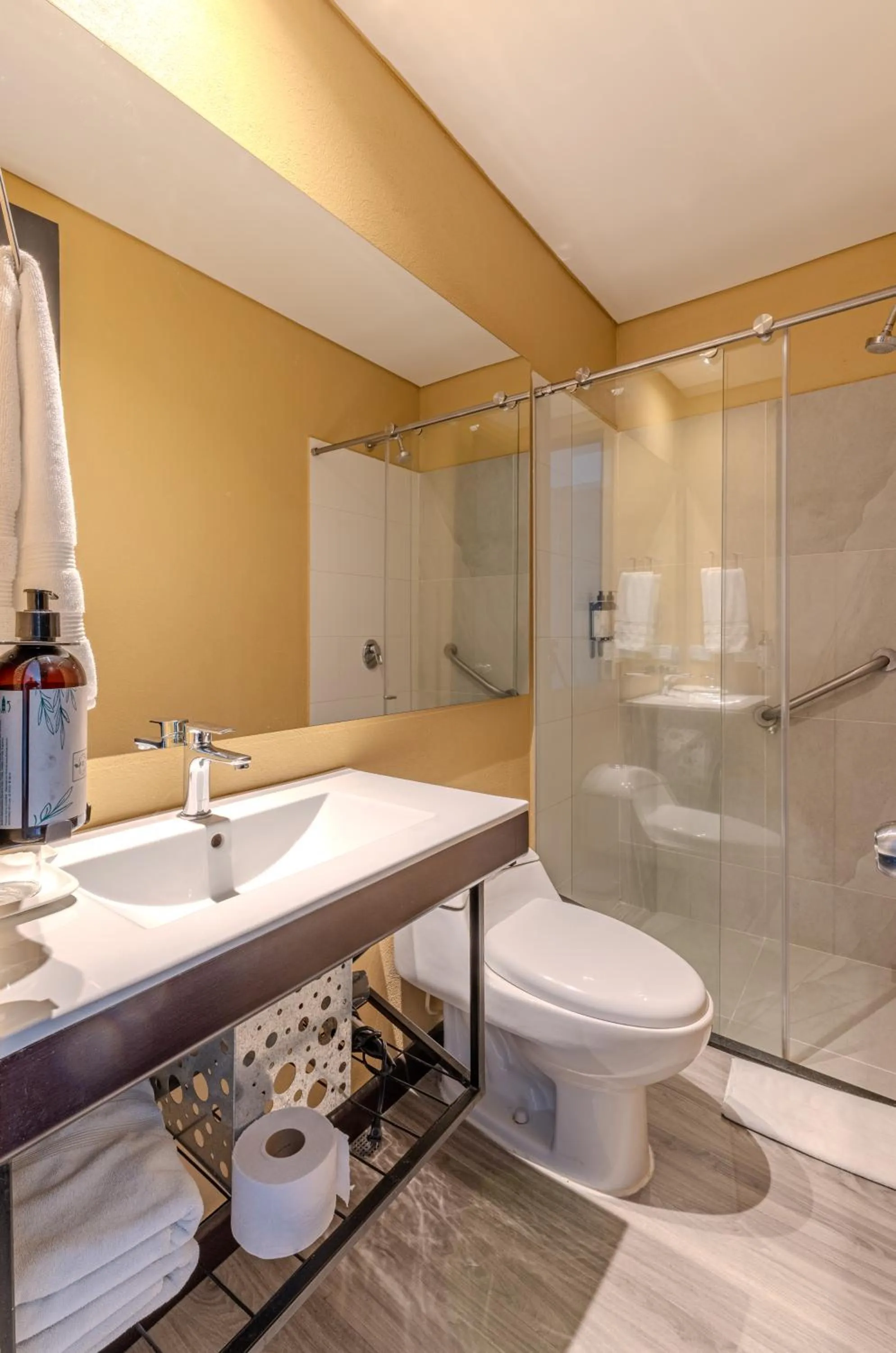 Toilet in Hotel Quinta Norte Chipichape