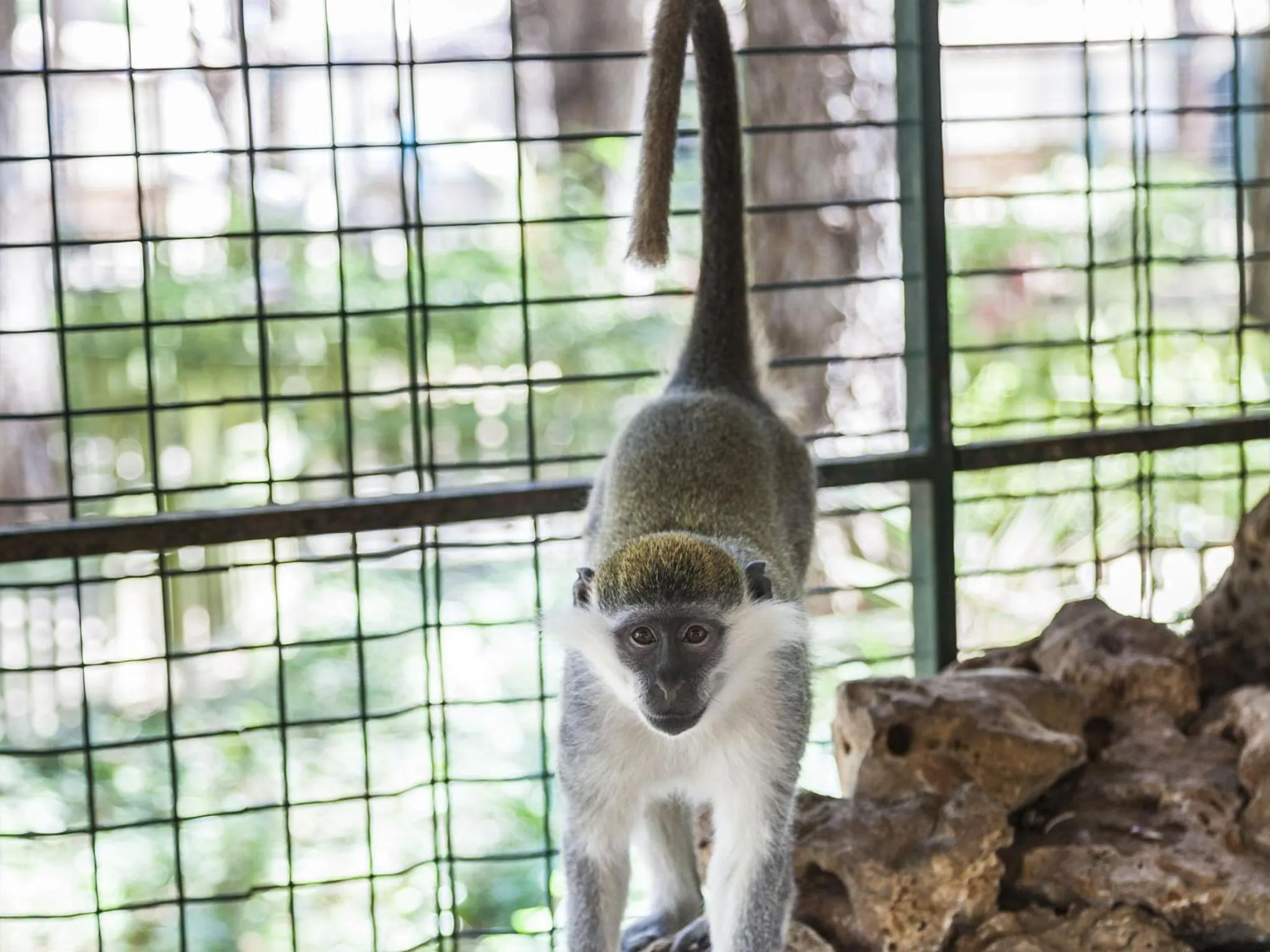 Other in Bellis Deluxe Hotel & Heated for Winter Aqua Park