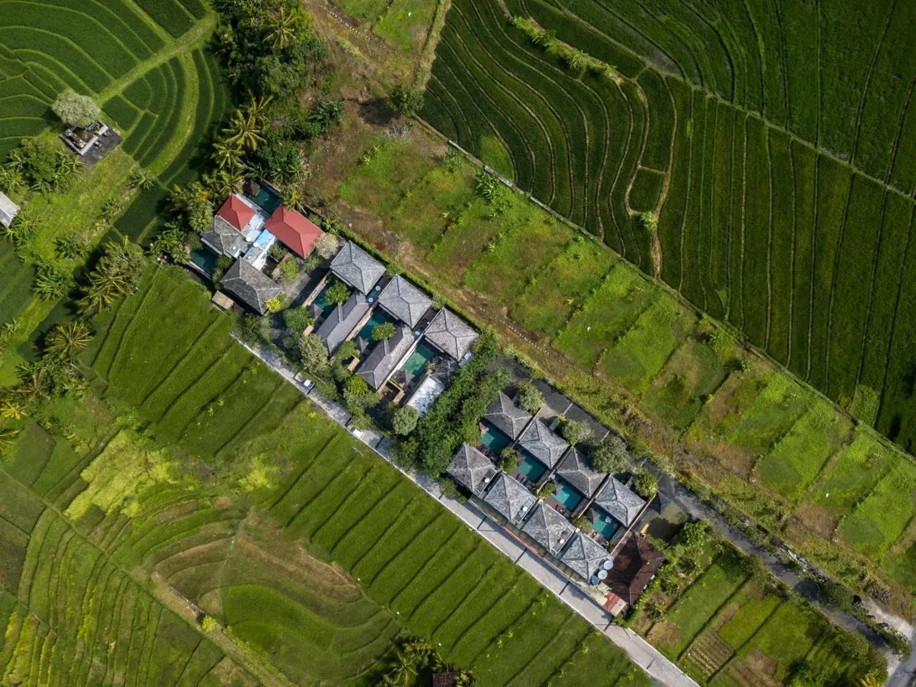 Nyanyi Sanctuary Villa Tabanan by Ini Vie Hospitality Nyanyi Sanctuary Villa Tabanan by Ini Vie Hospitality