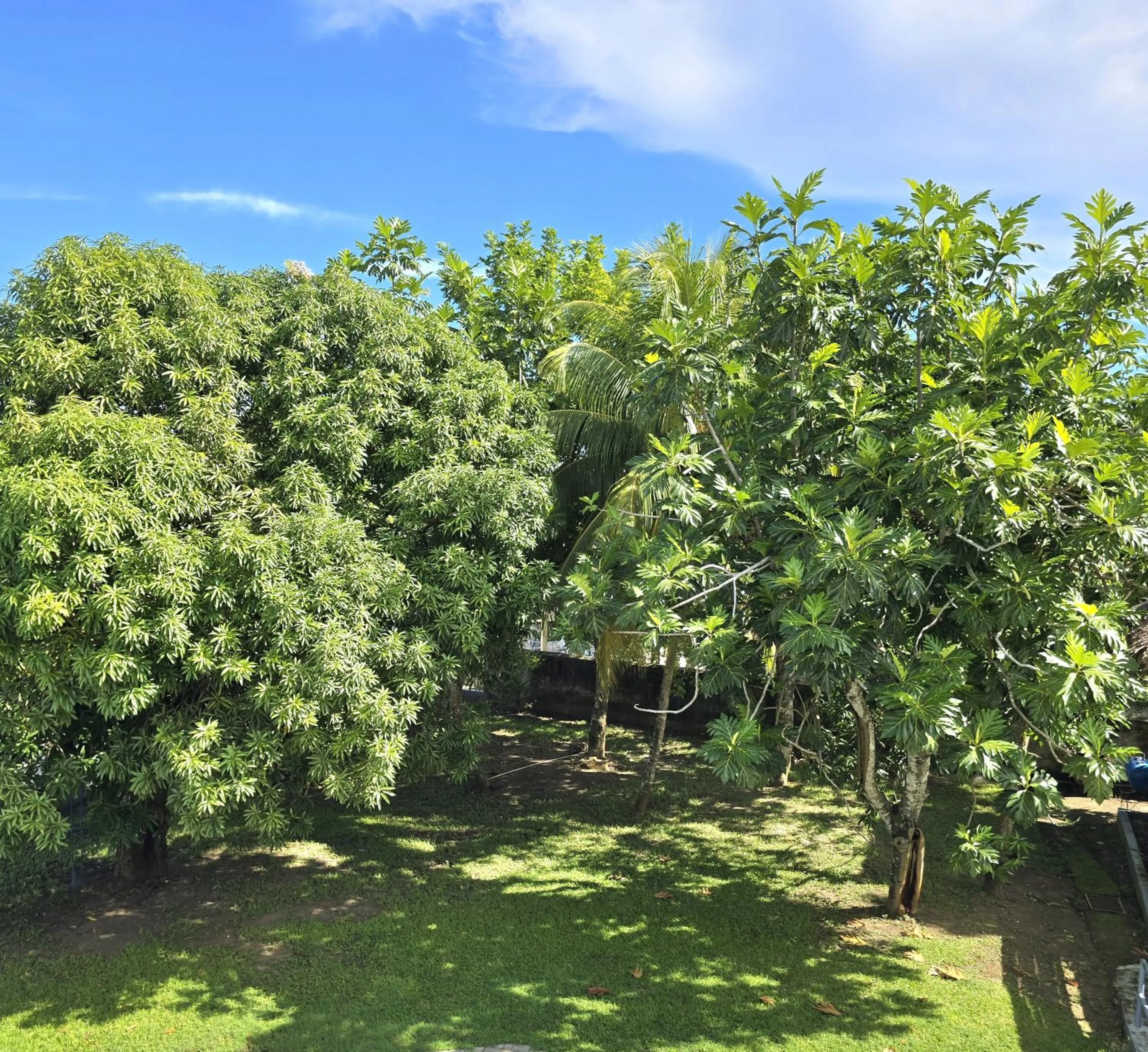 Garden view in Blue Paloma Bed & Breakfast