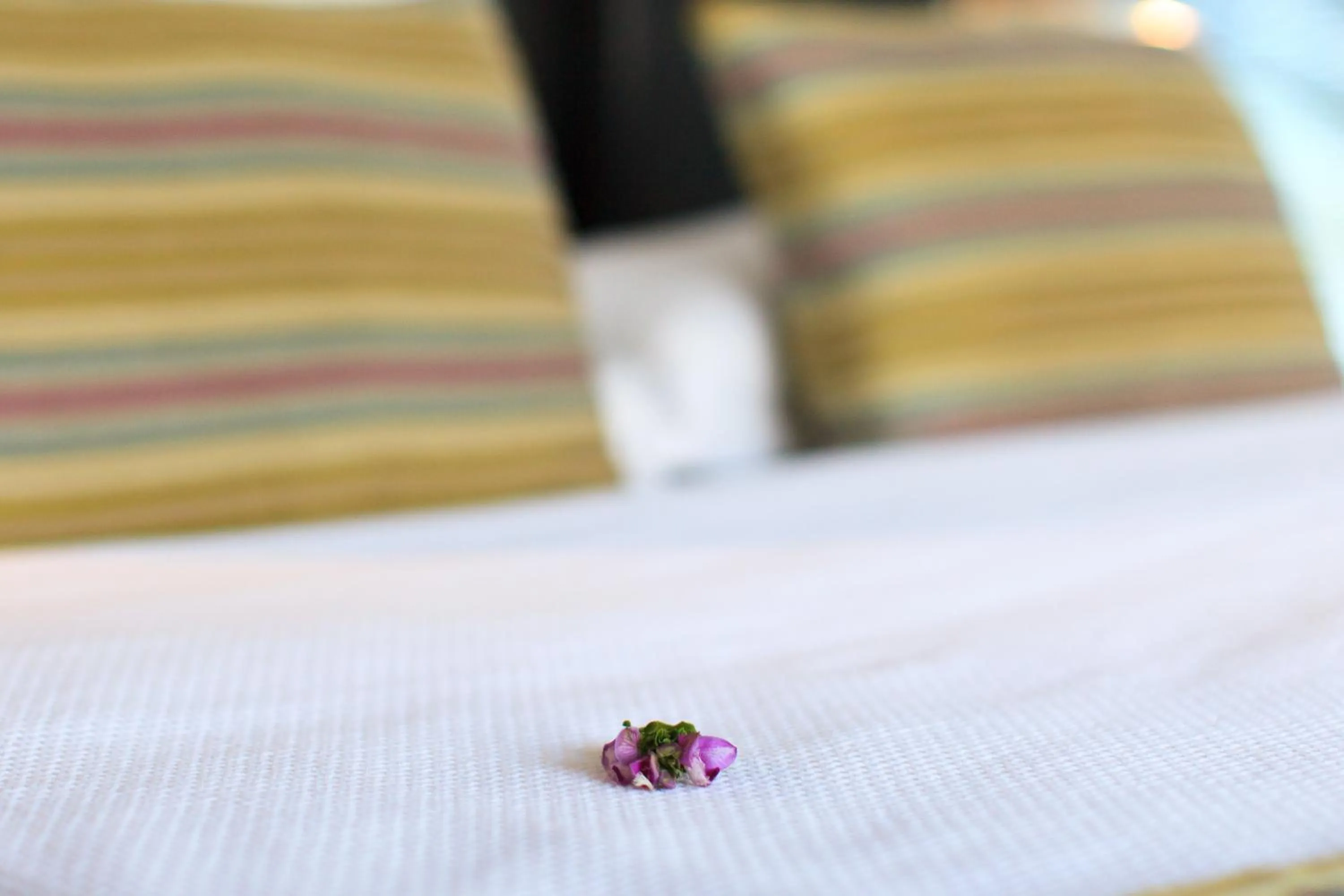 Bed in Orka Sunlife Resort Hotel and Aquapark