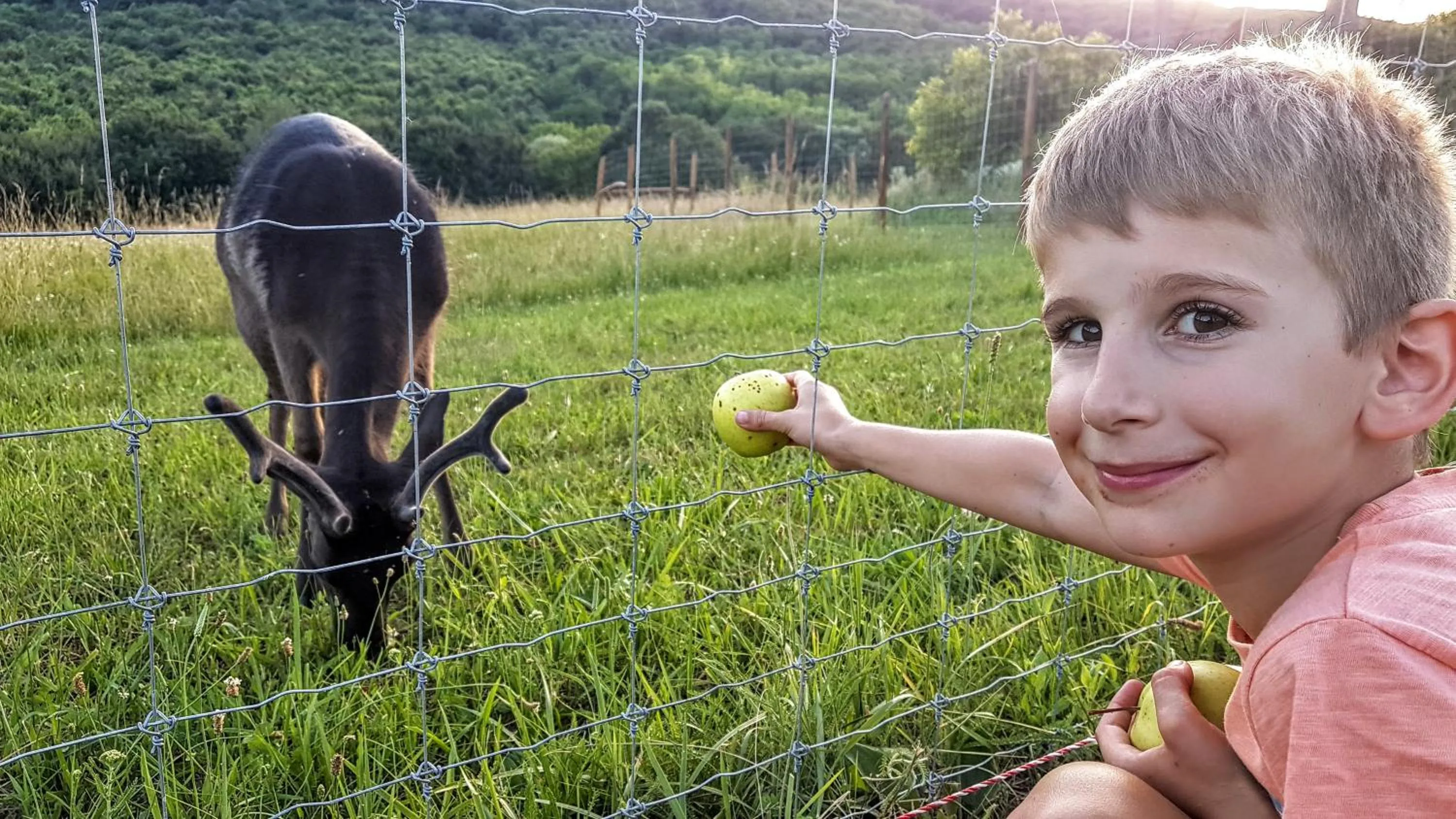 Natural landscape in Pálos Resort