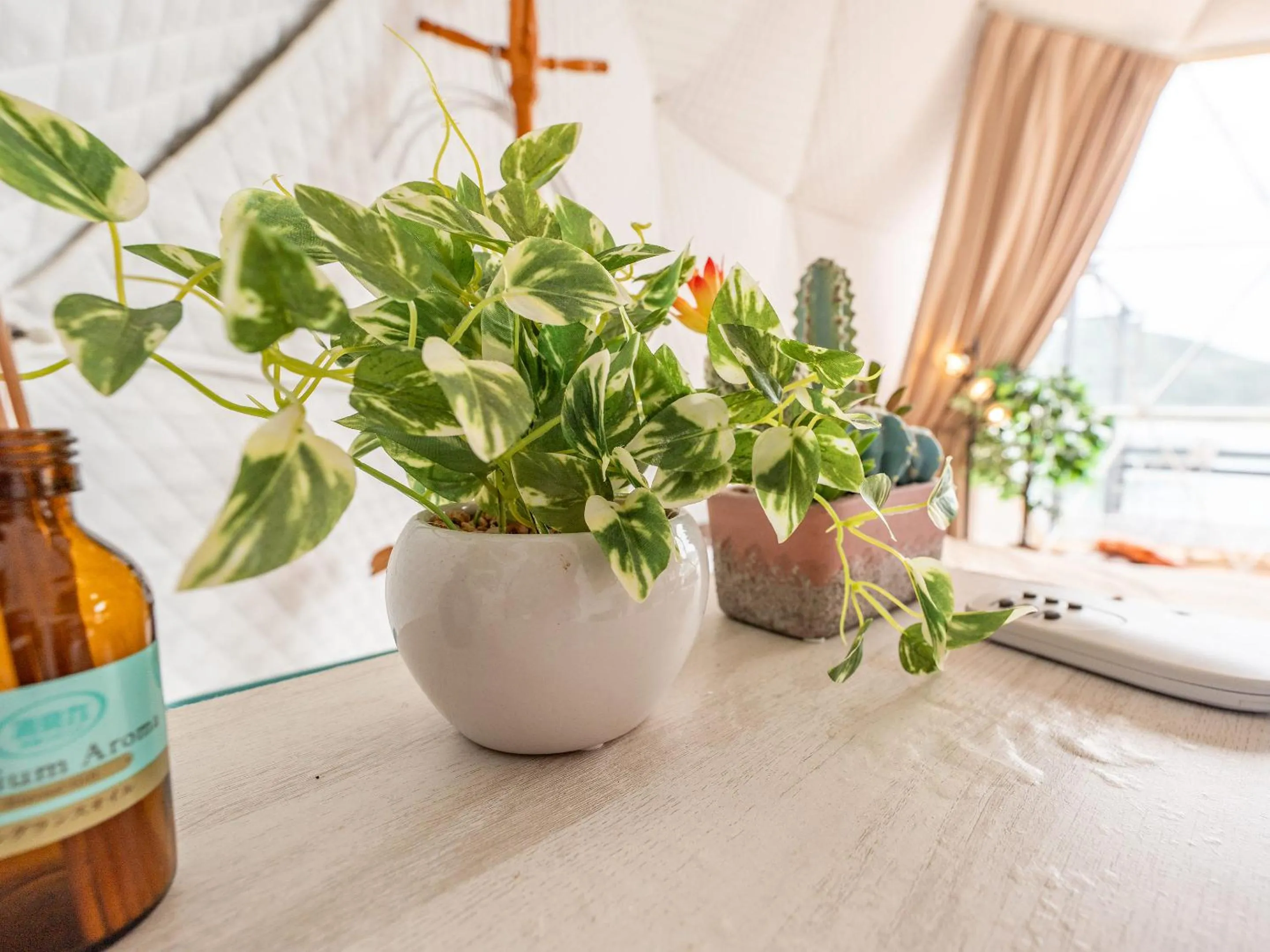 Photo of the whole room in Calm Lanai Harbor