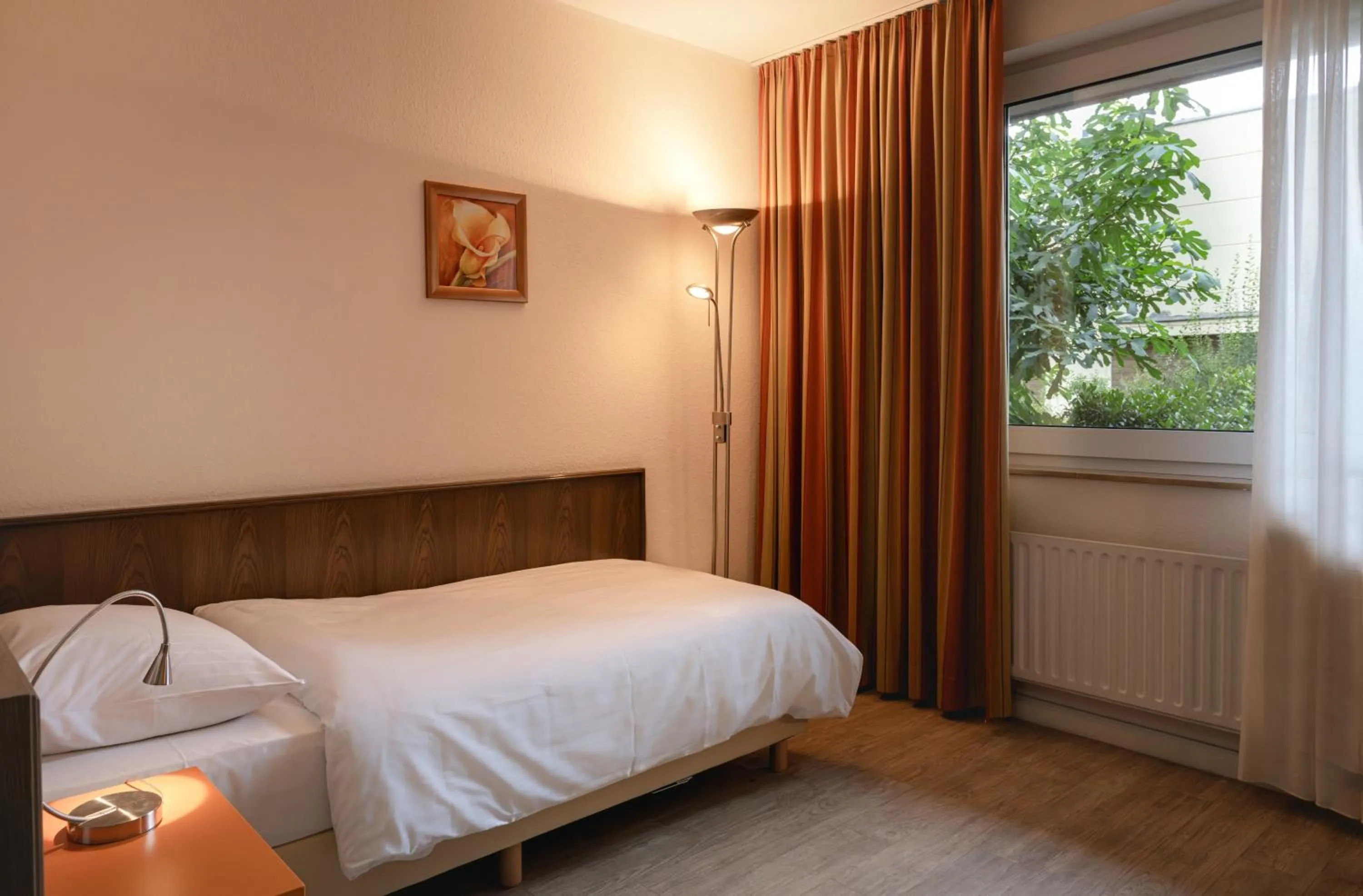 Single Room Basement Floor in Hotel Astra