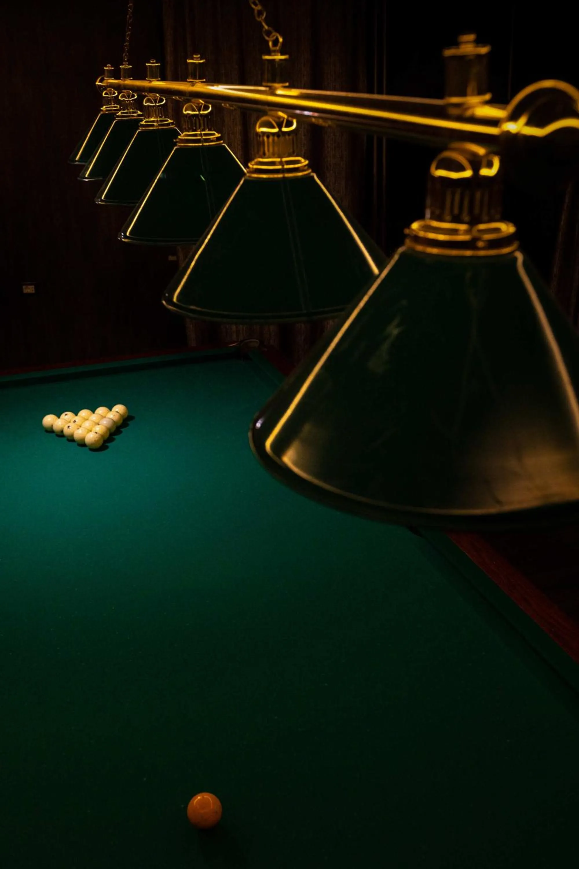 Billiard in Alaska Resort