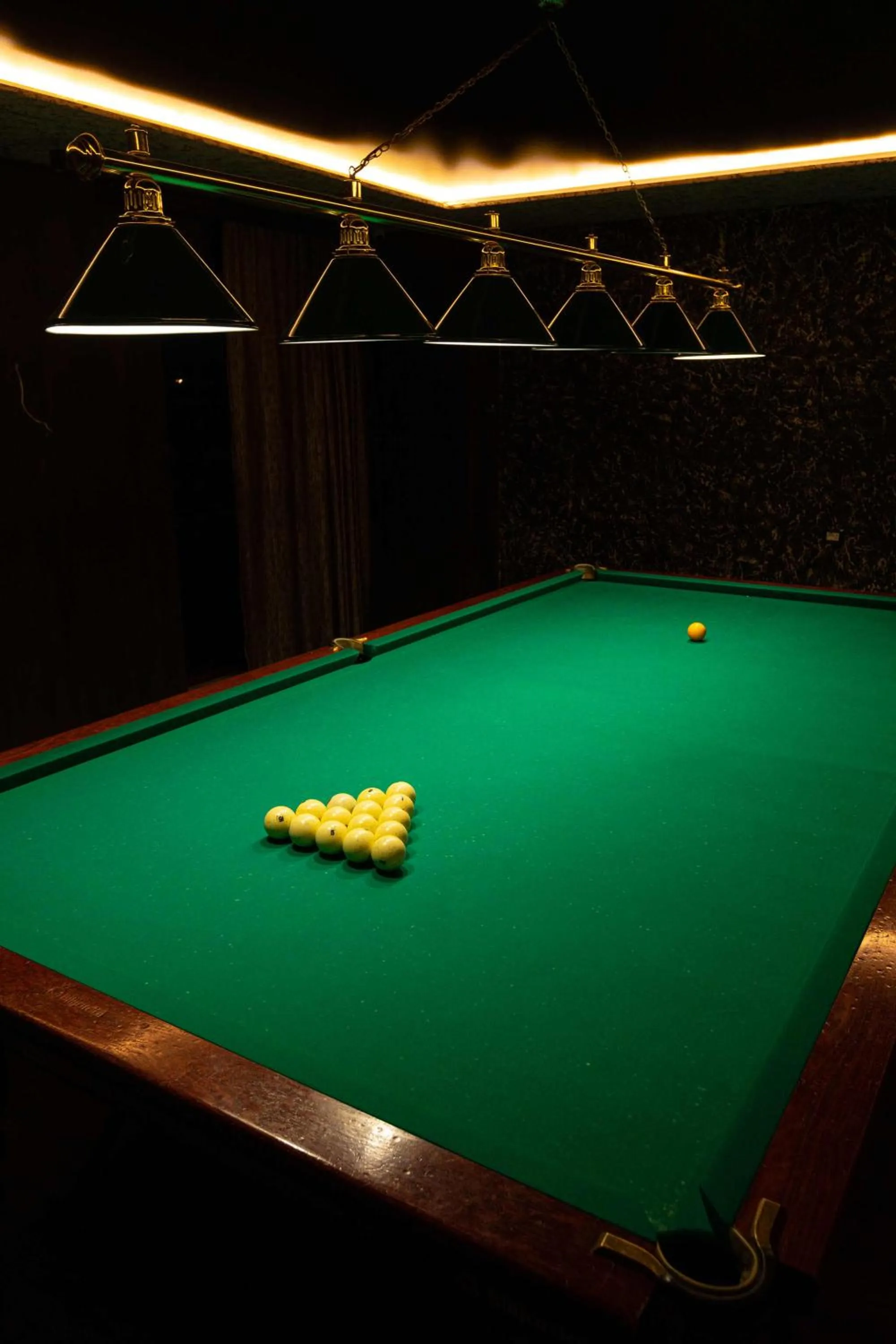 Billiard in Alaska Resort