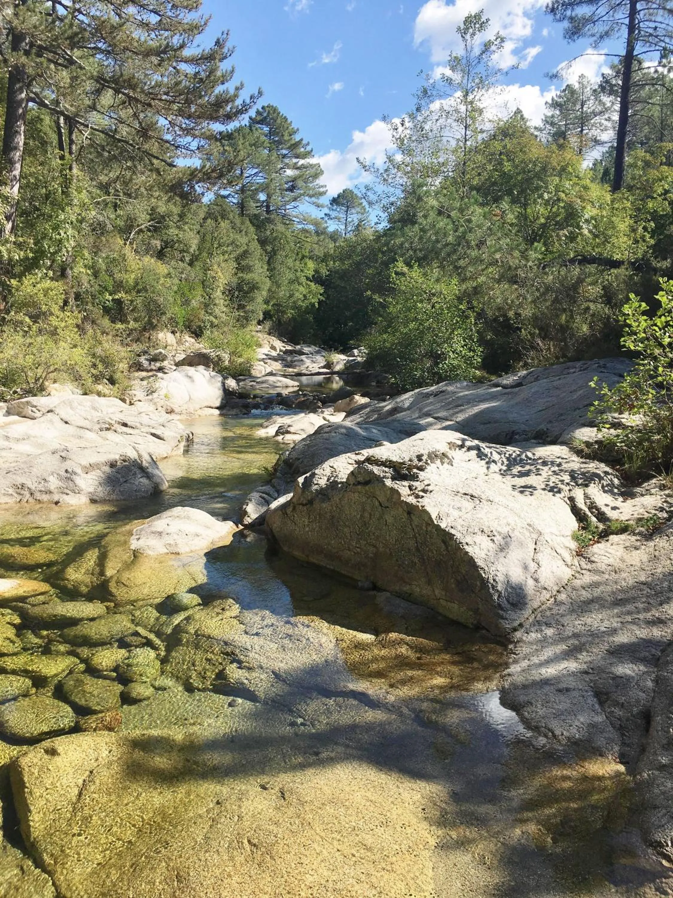 Natural landscape in Hôtel Cantu di Fiumu