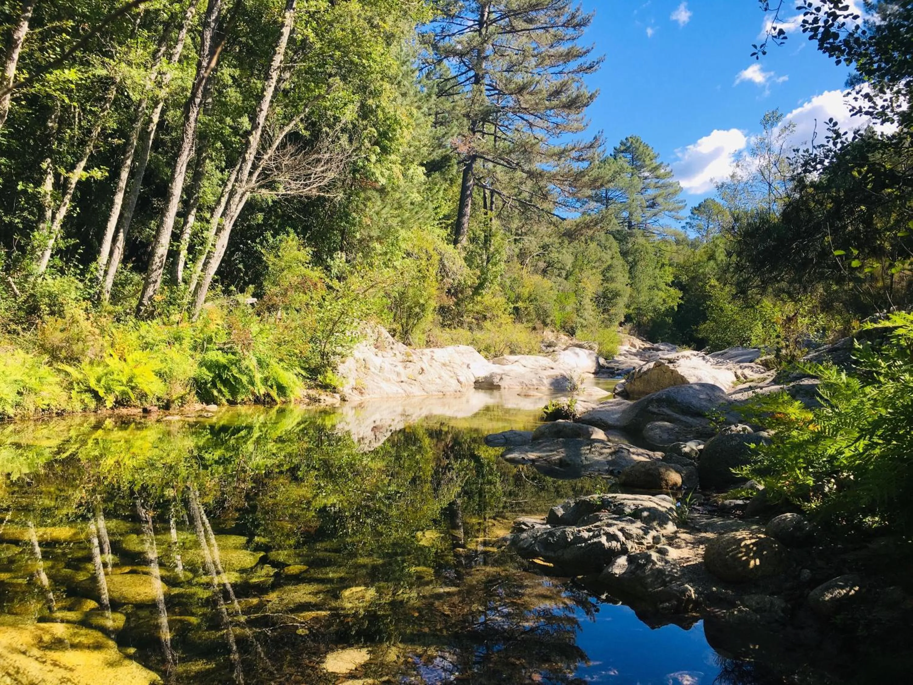 Natural landscape in Hôtel Cantu di Fiumu