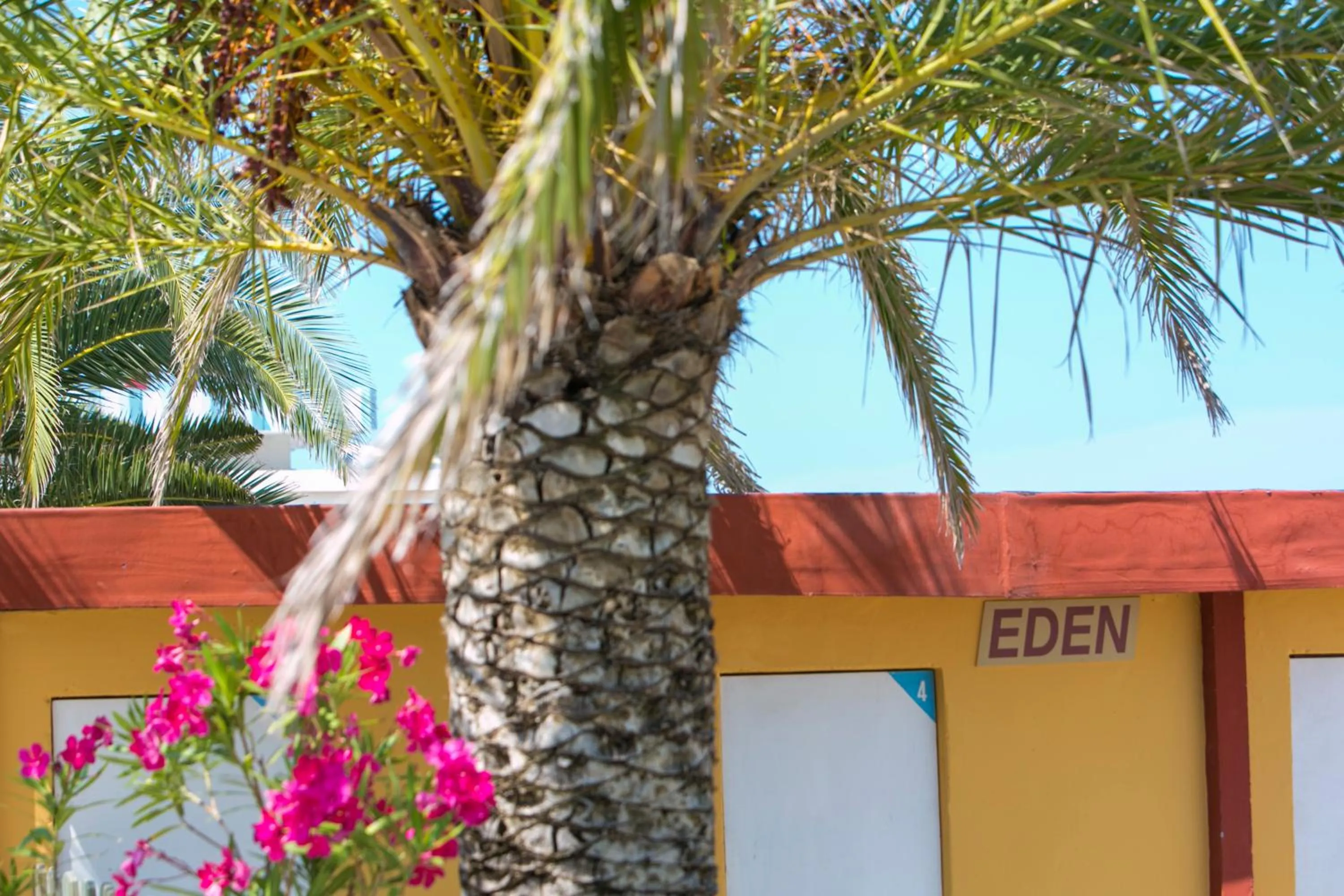 Decorative detail in Hotel Eden