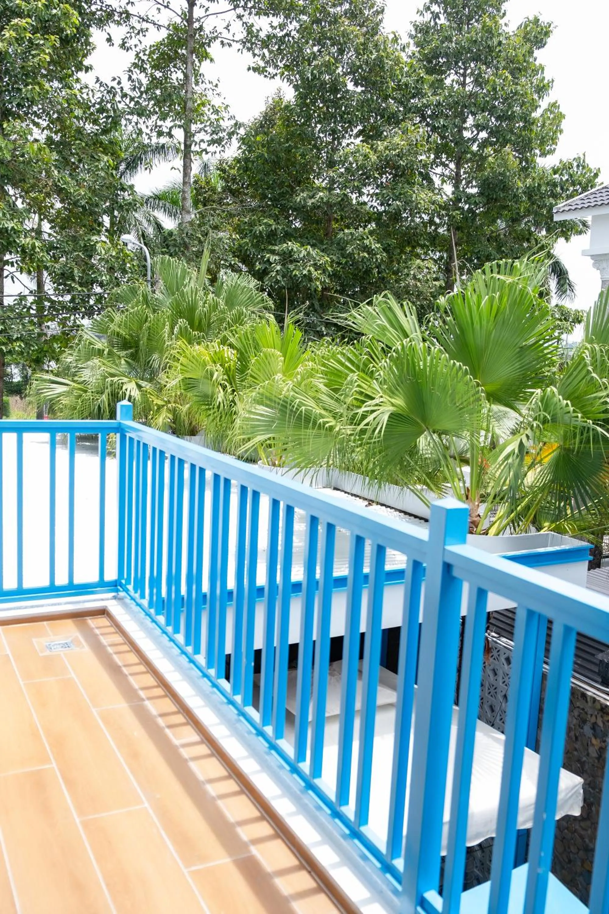 Natural landscape in Turi Staypoint