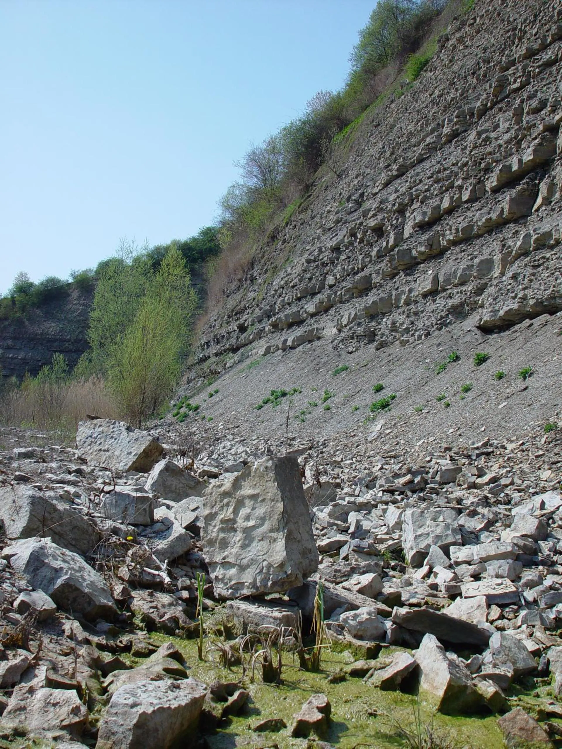Area and facilities in AKZENT Hotel Am Bach