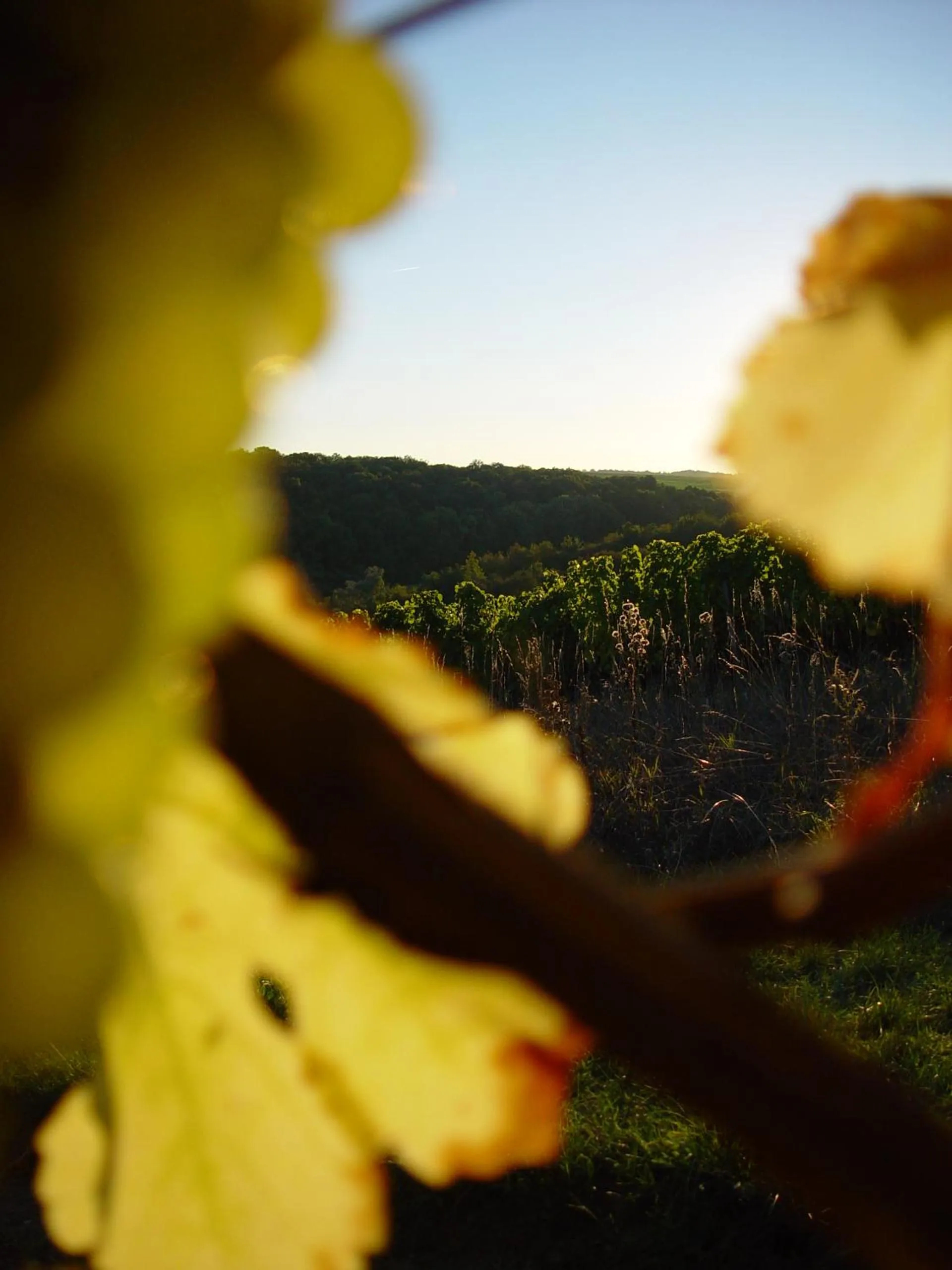 Staff in AKZENT Hotel Franziskaner