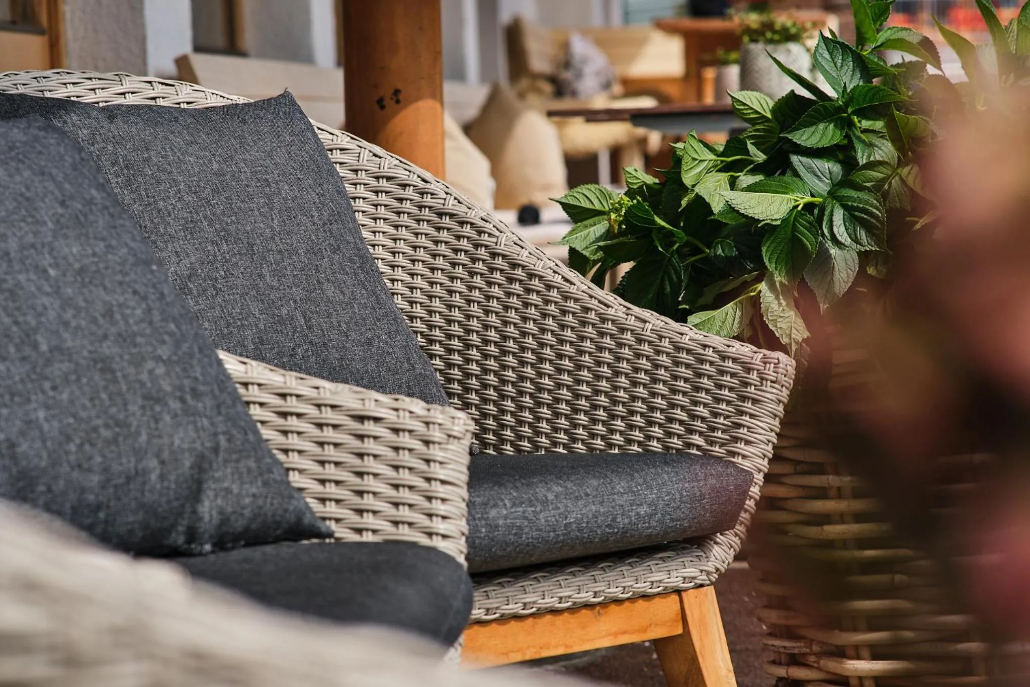 Balcony/Terrace in Boutiquehotel Hohes Licht