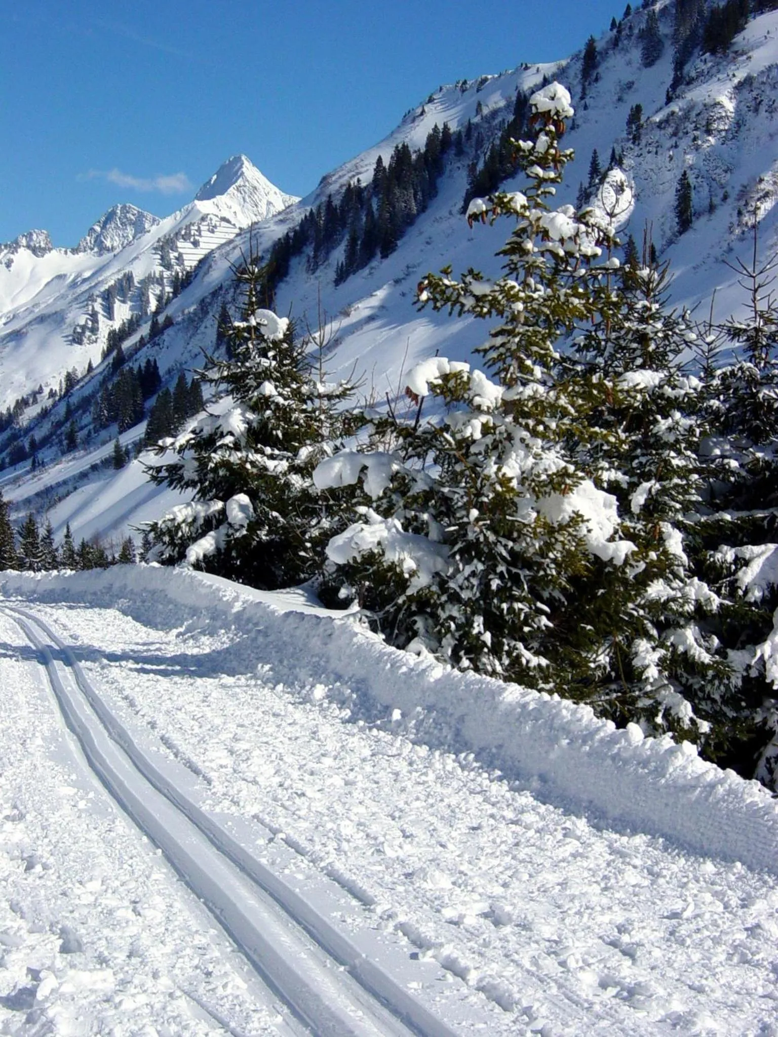 Sports in Boutiquehotel Hohes Licht