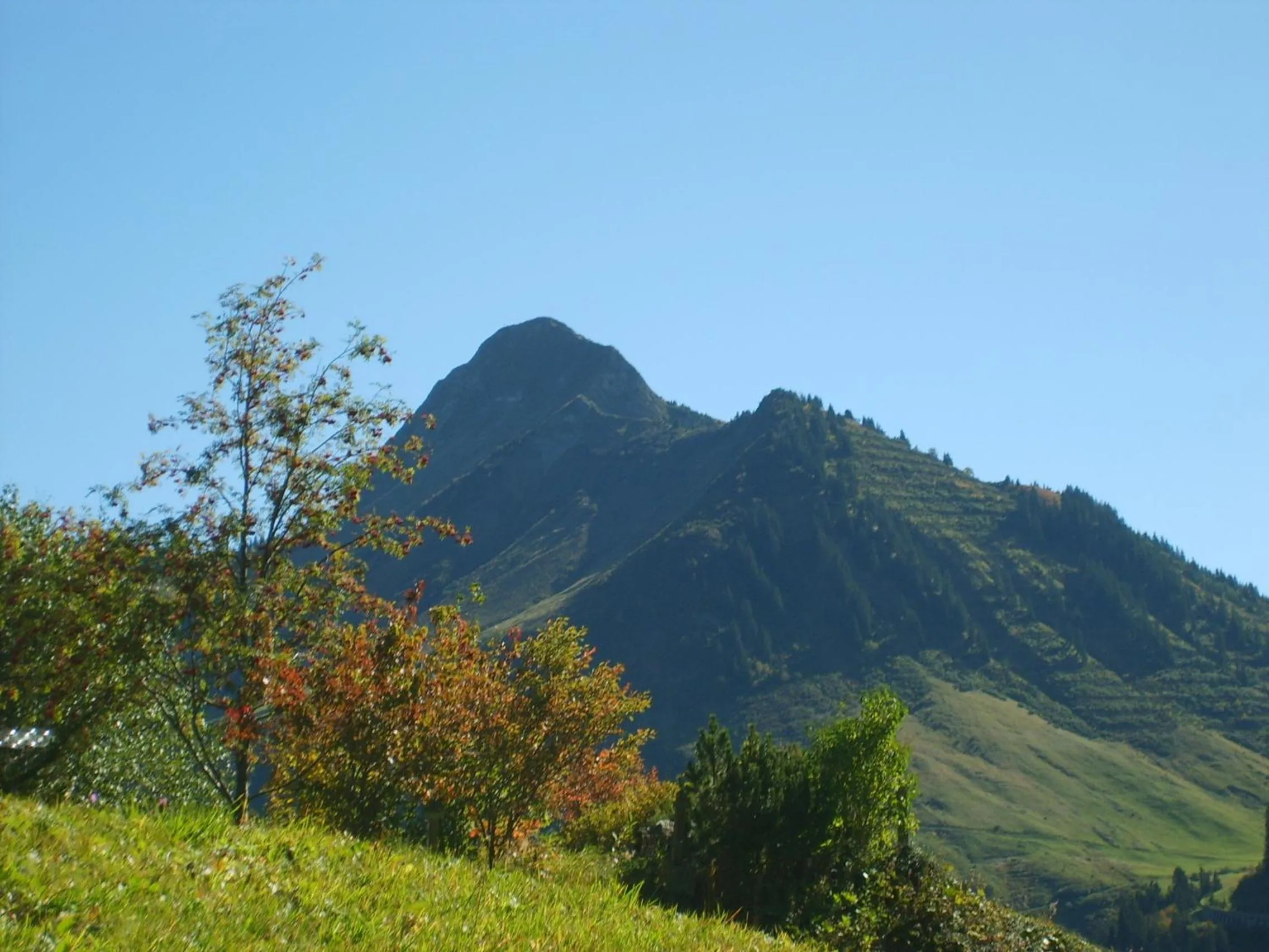 Natural landscape in Boutiquehotel Hohes Licht