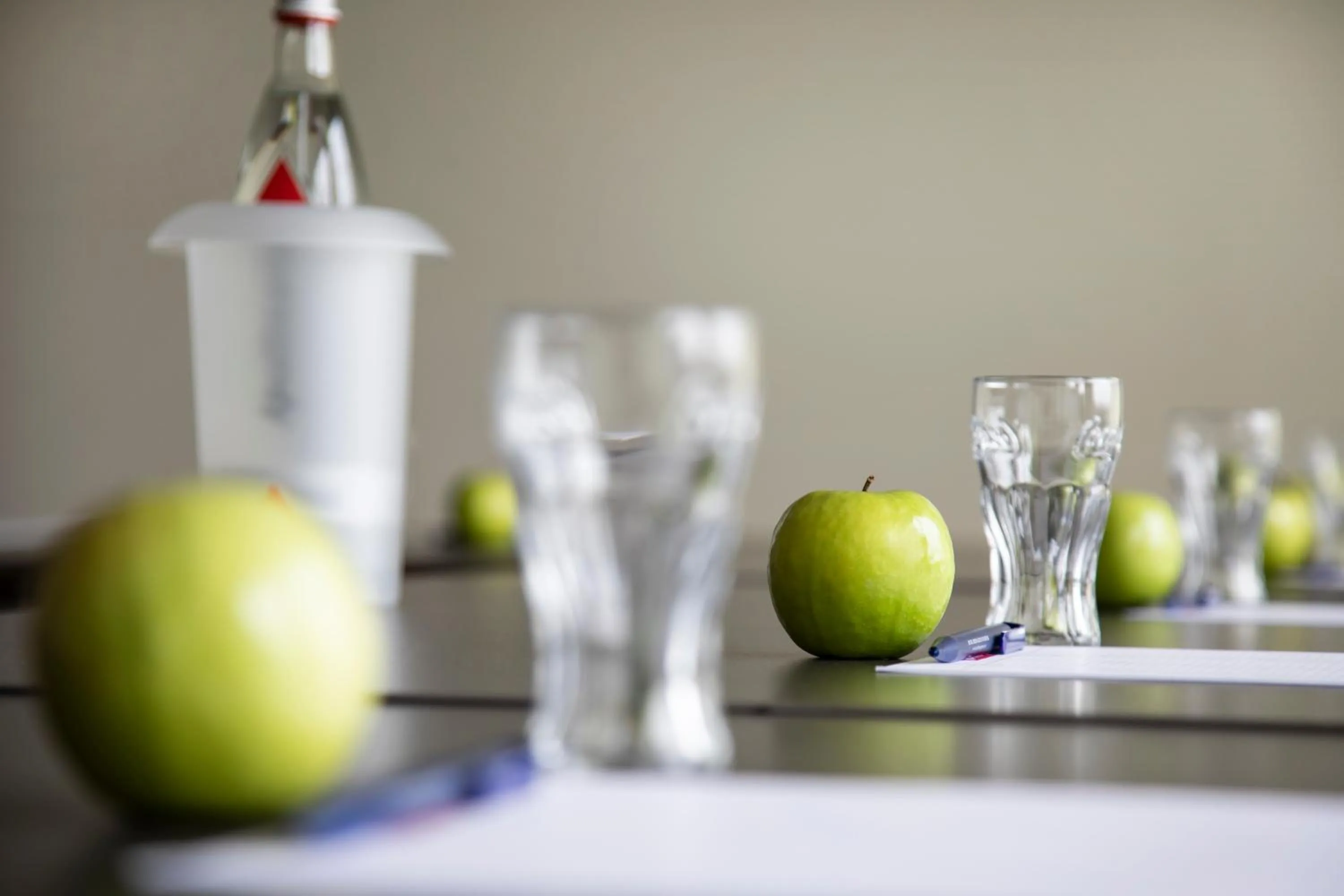Meeting/conference room in Hotel Rheingarten