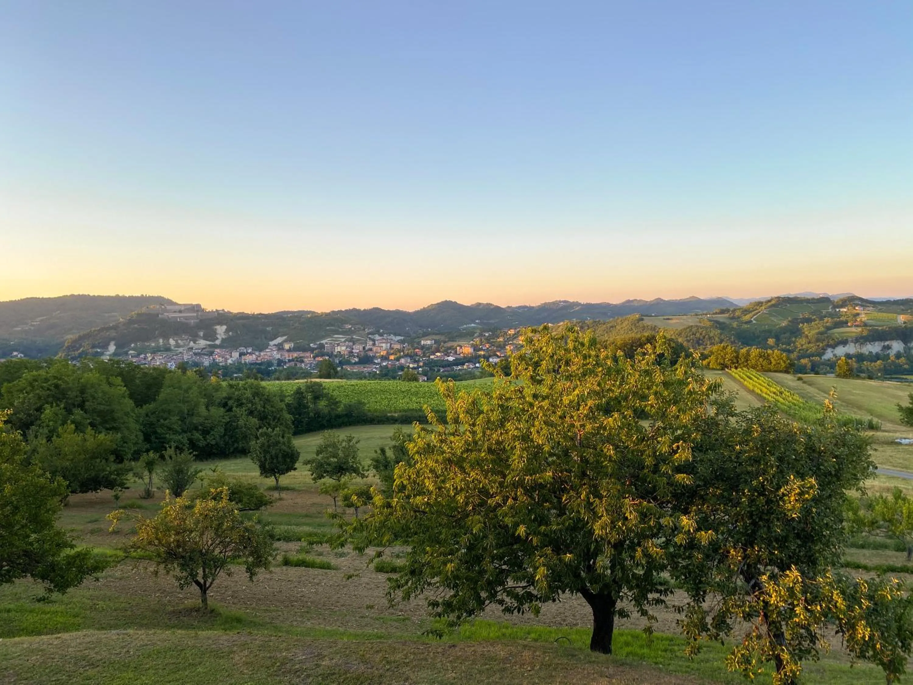 Vista sul Forte