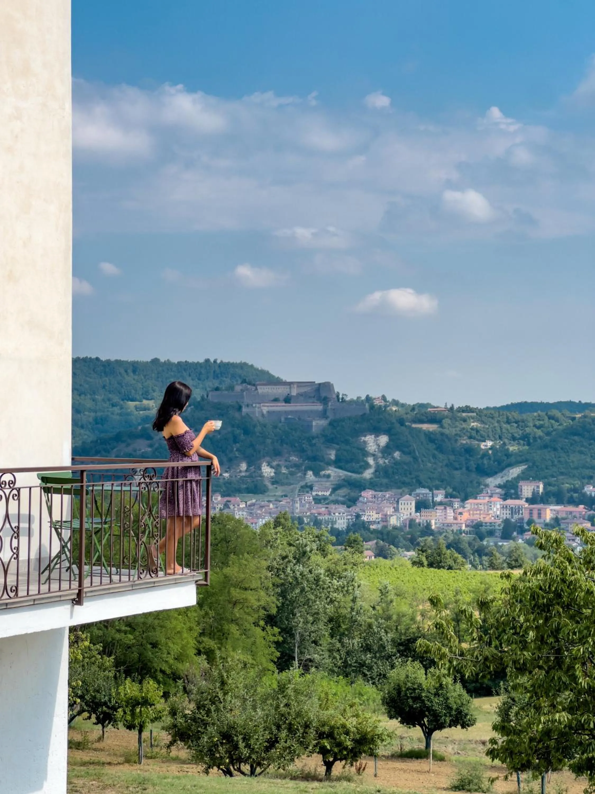 Vista sul Forte