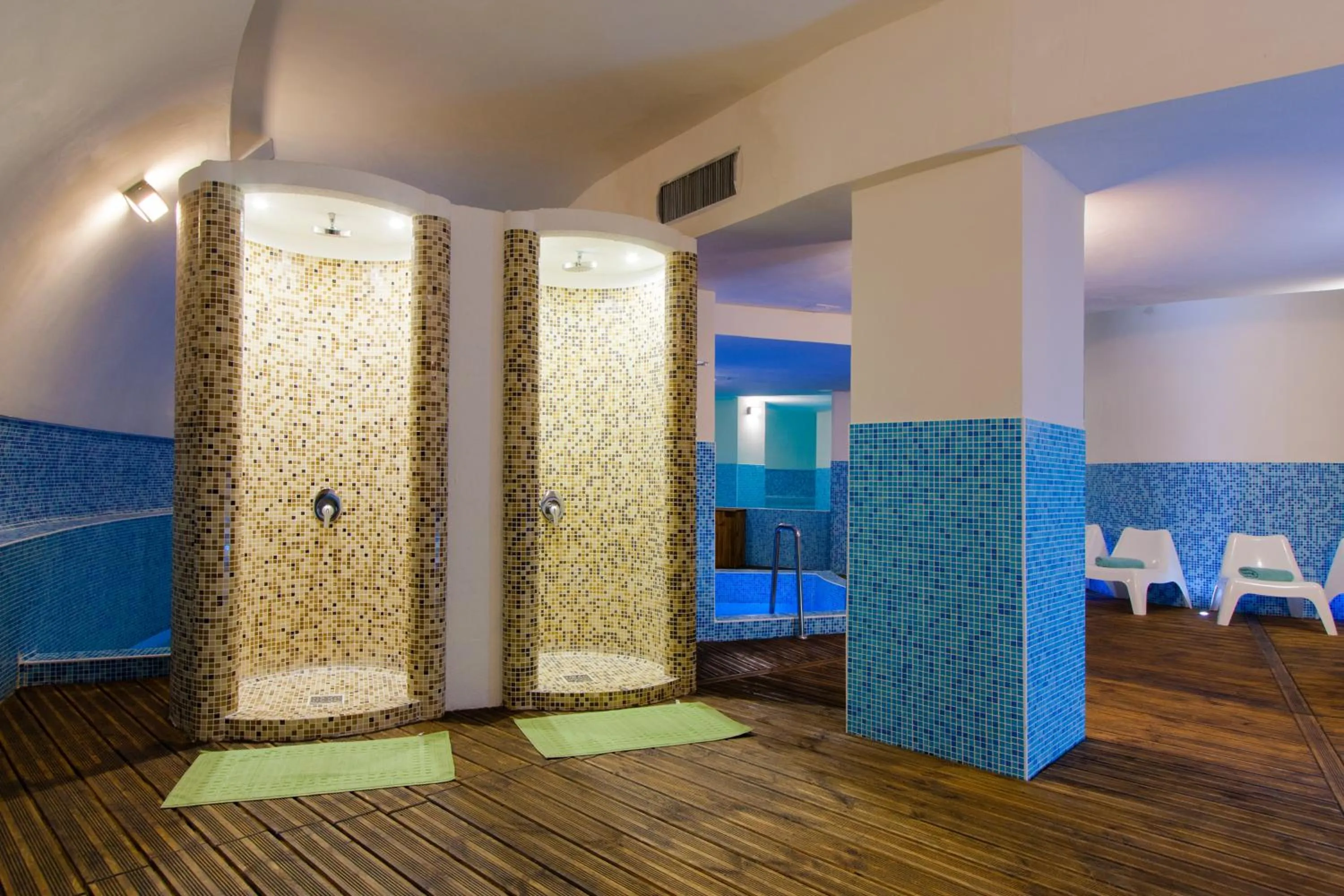 Spa and wellness centre/facilities in Hotel Palace