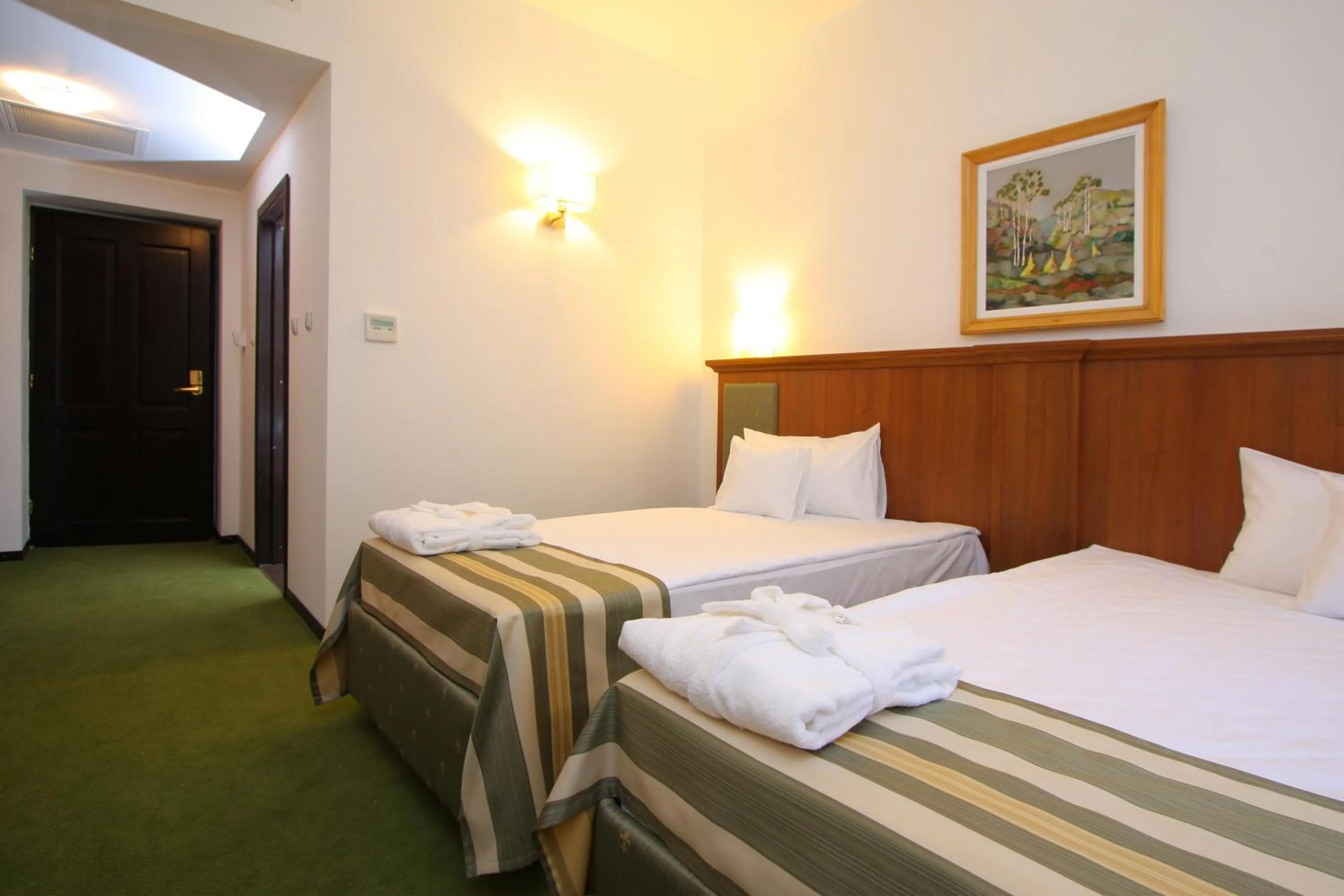 Photo of the whole room, Bed in Hotel Palace