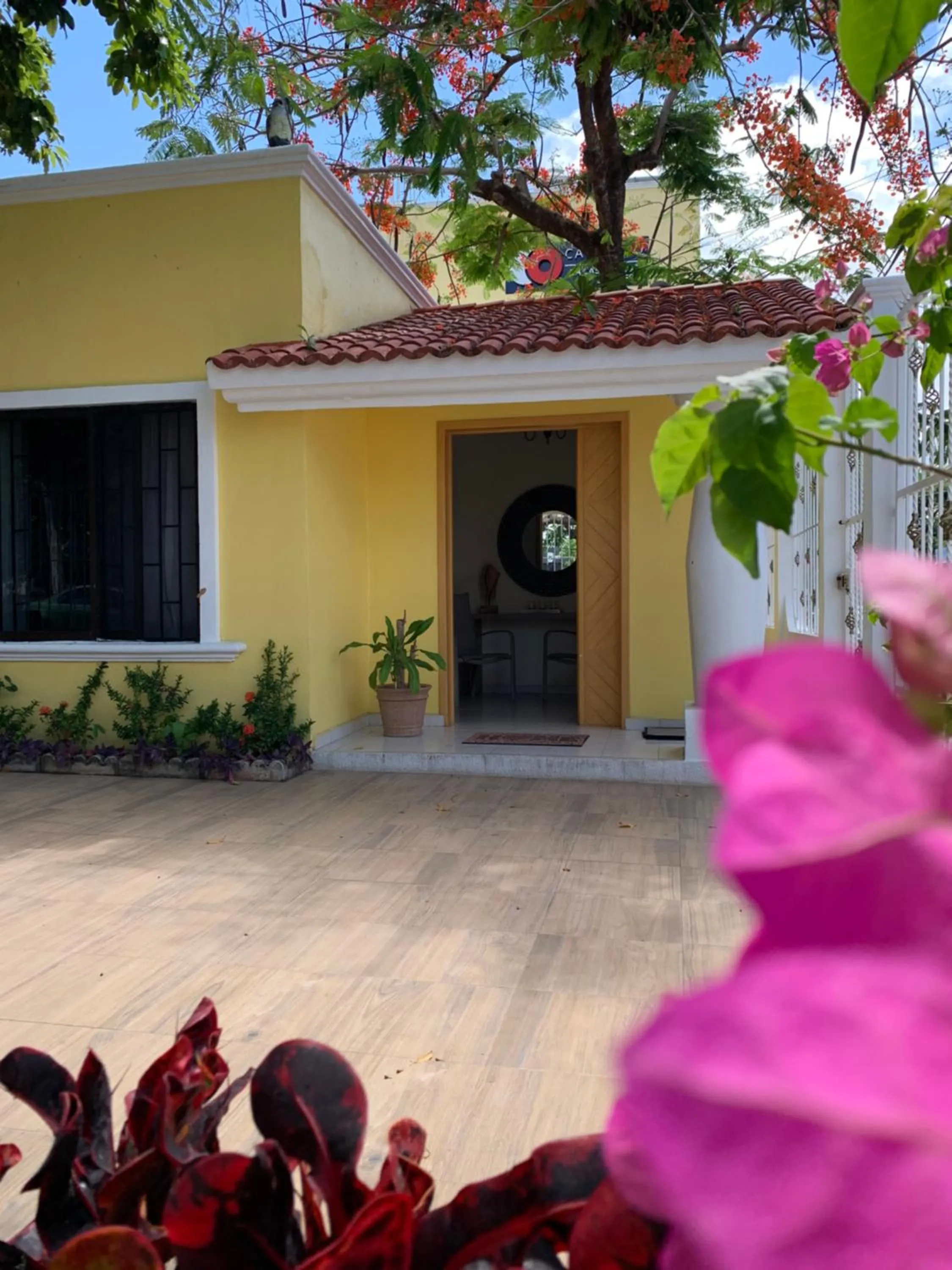 Property building in La Casa de los Alcatraces