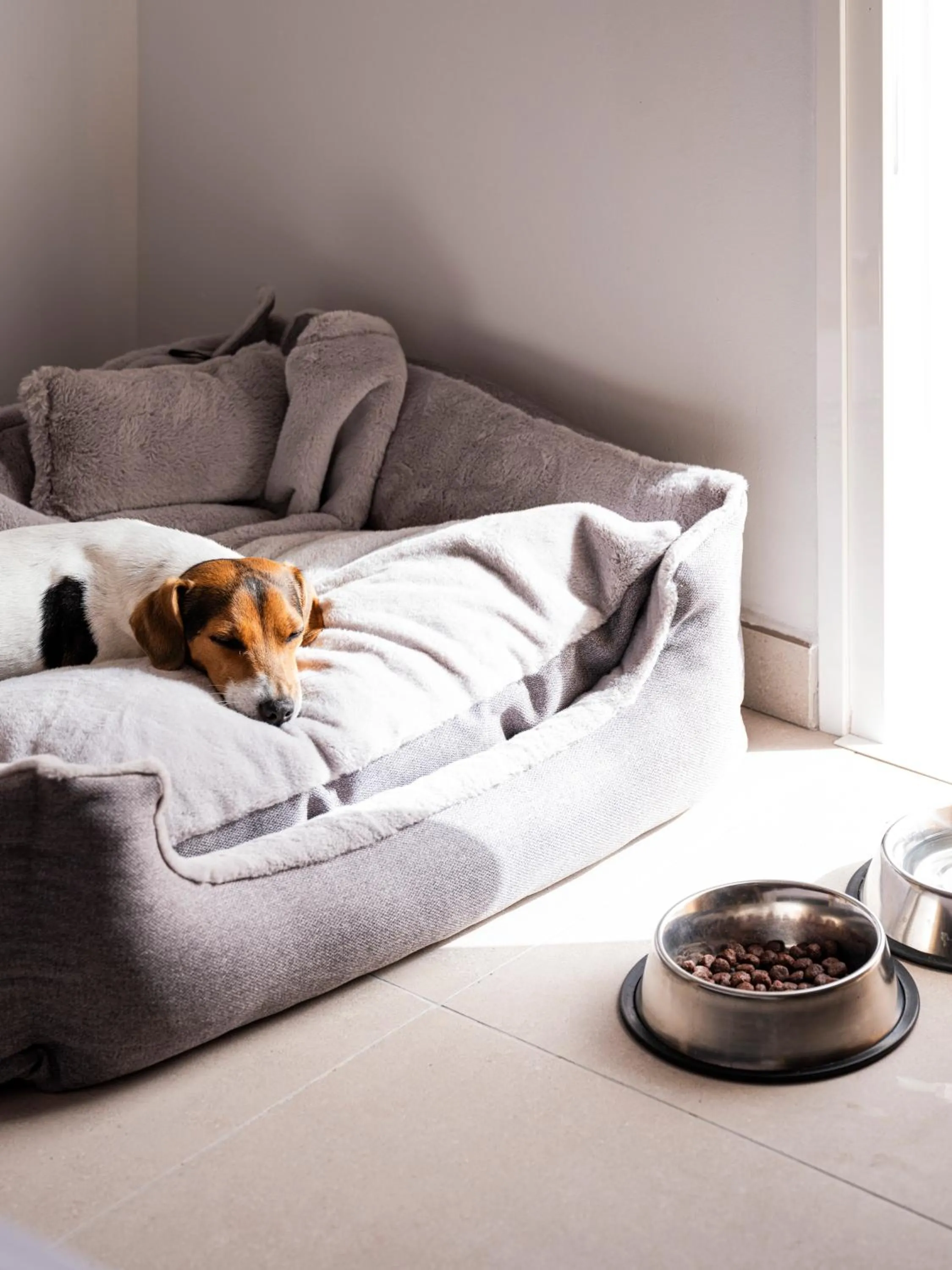pet friendly, Bed in Sholeo Lodges Maspalomas