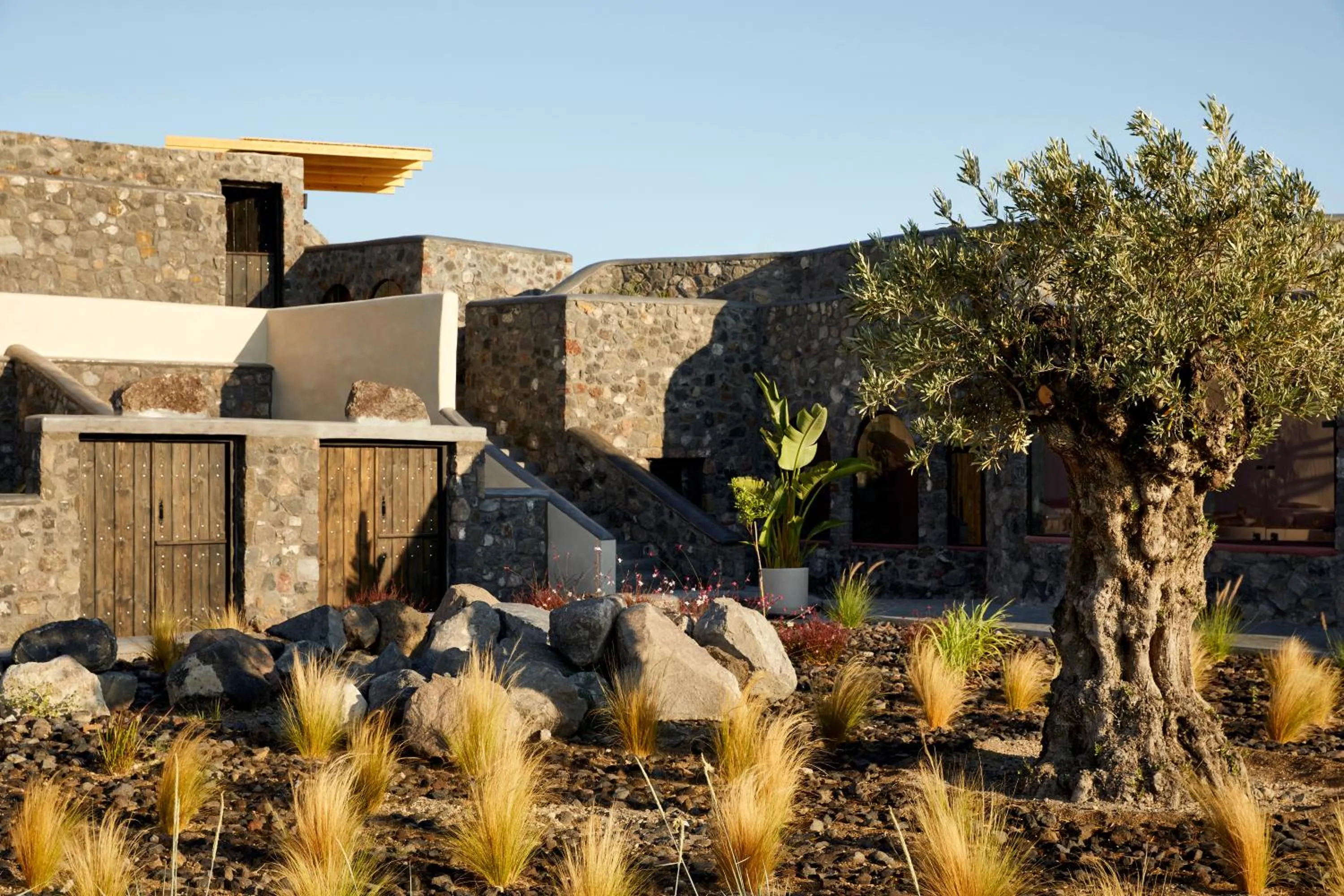 Garden in White Pearl Cavalieri