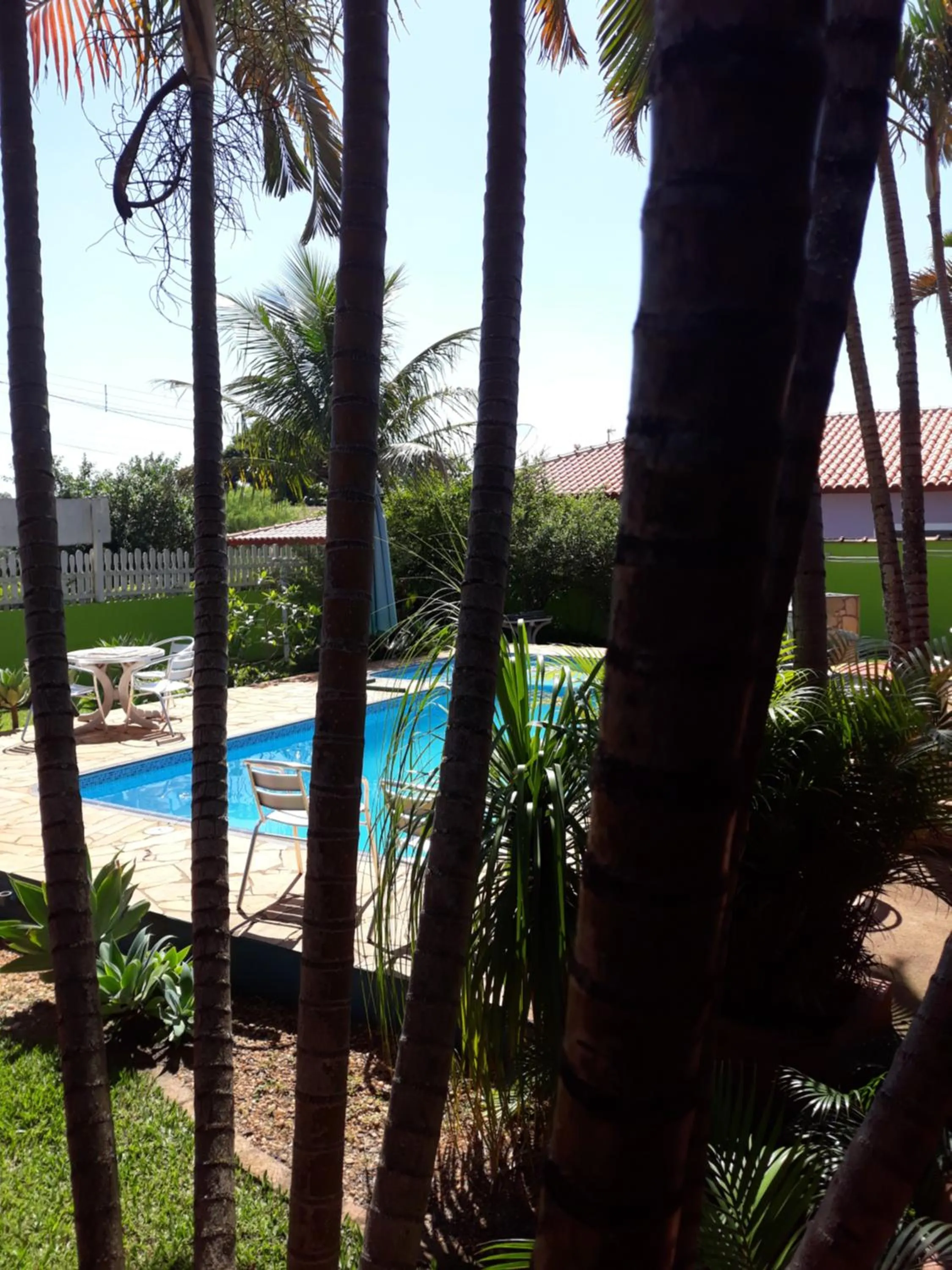 Pool view in Pousada Jacare Pepira